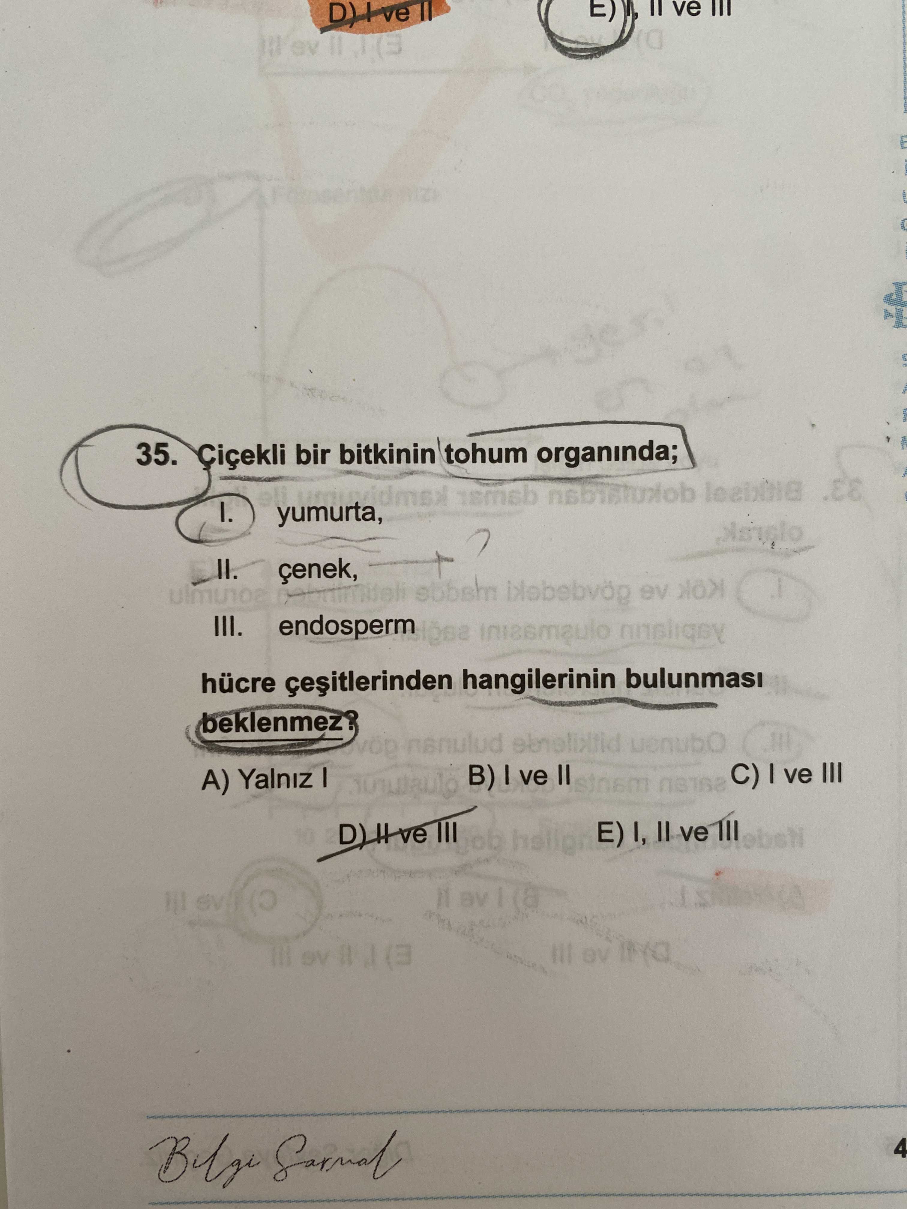 Çiçekli bir bitkinin tohum organında; I. yumurta, II. çenek, III. endosperm hücre çeşitlerinden