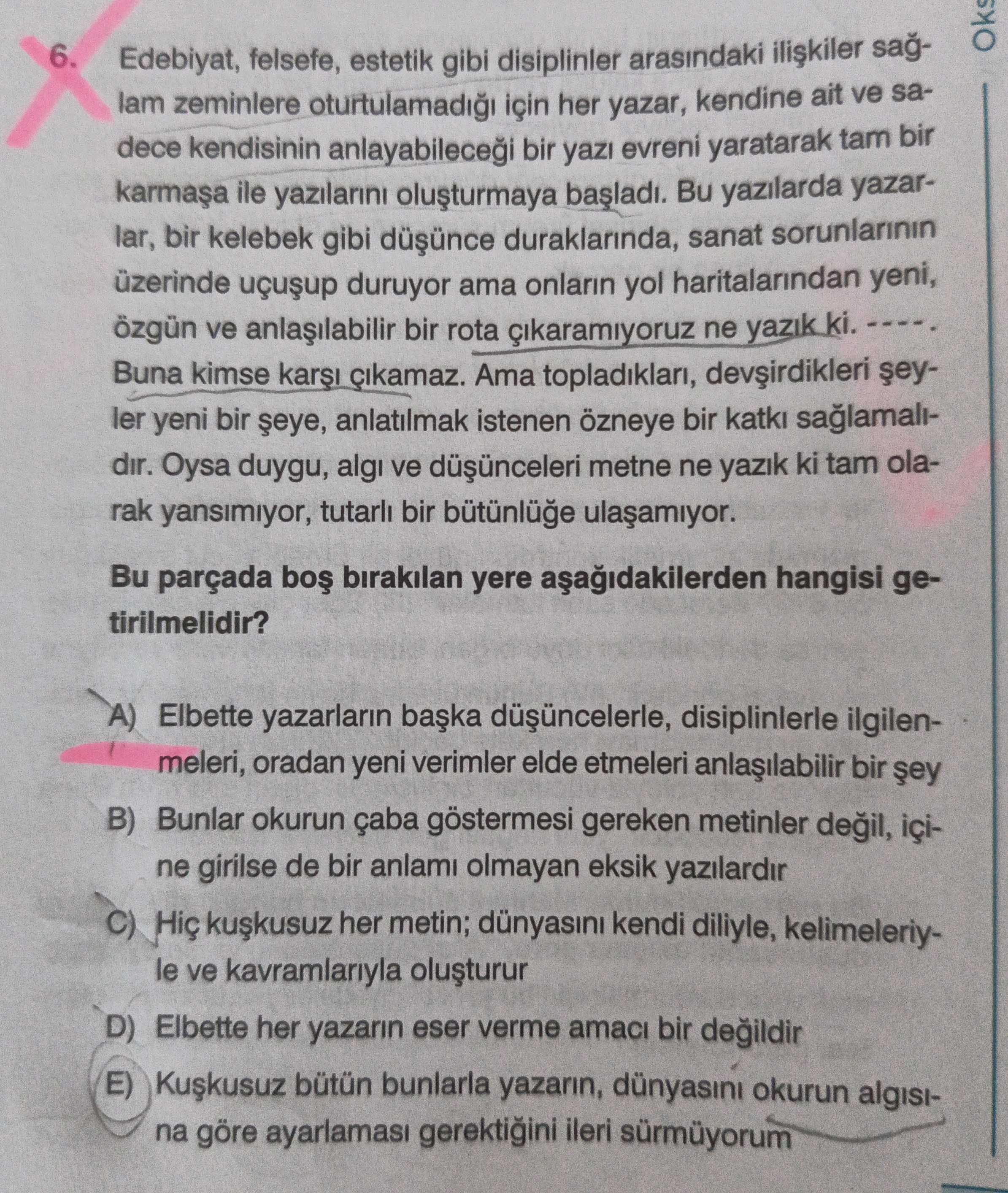 Edebiyat, felsefe, estetik gibi disiplinler arasındaki ilişkiler sağlam zeminlere oturtulamadığı