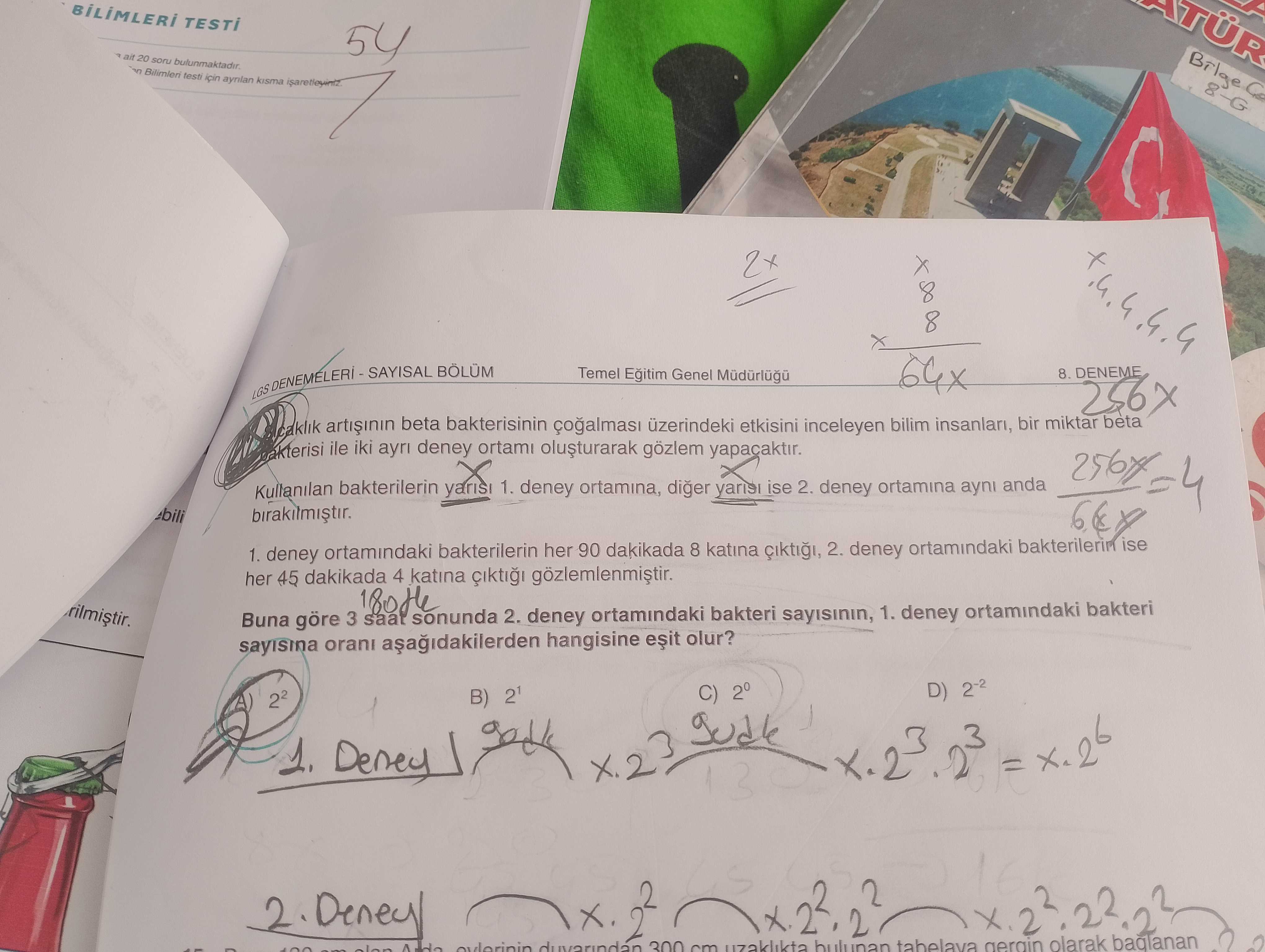 Sıcaklık artışının beta bakterisinin çoğalması üzerindeki etkisini inceleyen bilim insanları, bir