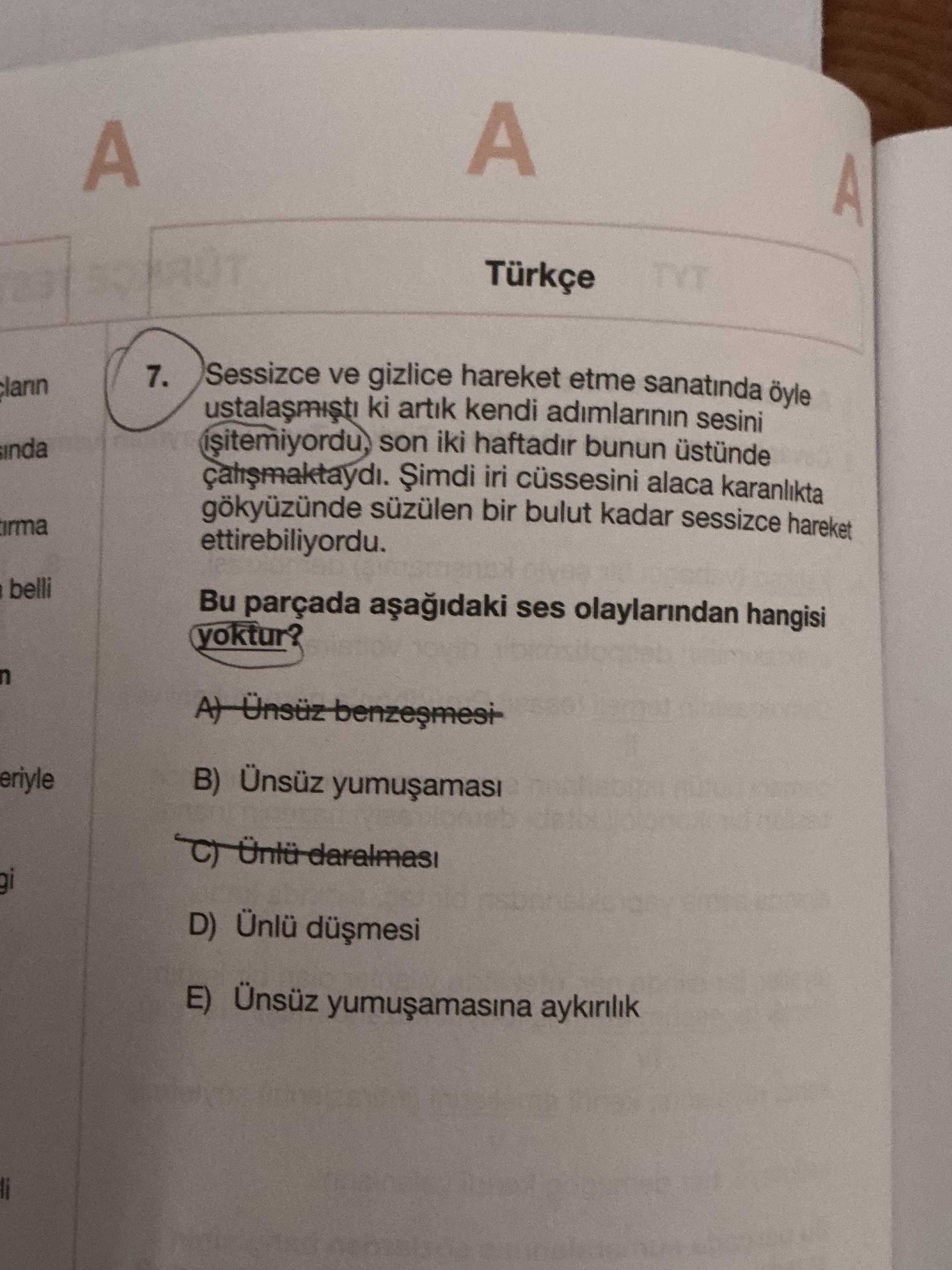 Sessizce ve gizlice hareket etme sanatında öyle ustalaşmıştı ki artık kendi adımlarının sesini