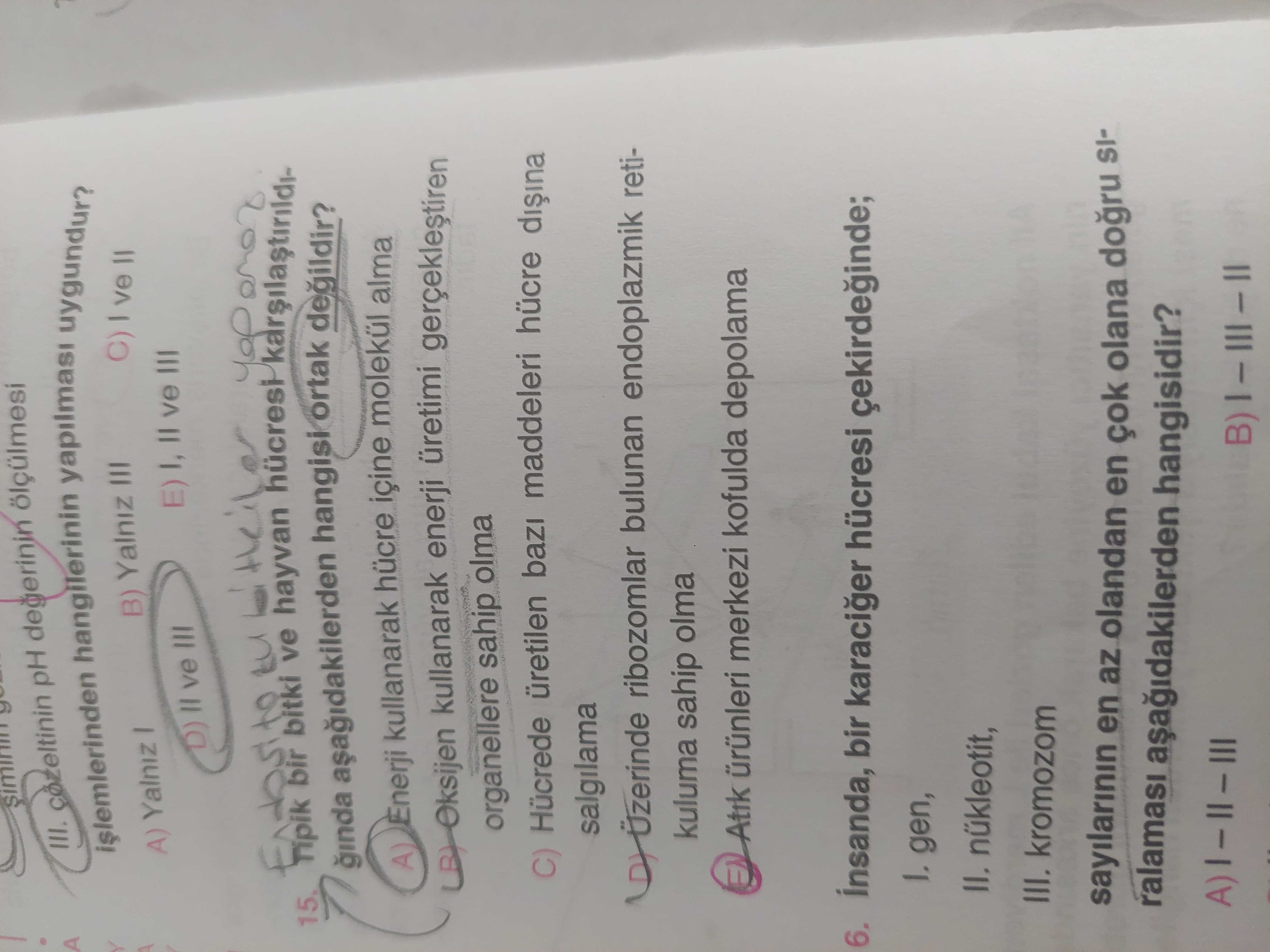 Tipik bir bitki ve hayvan hücresi karşılaştırıldığında aşağıdakilerden hangisi ortak **değildir?**