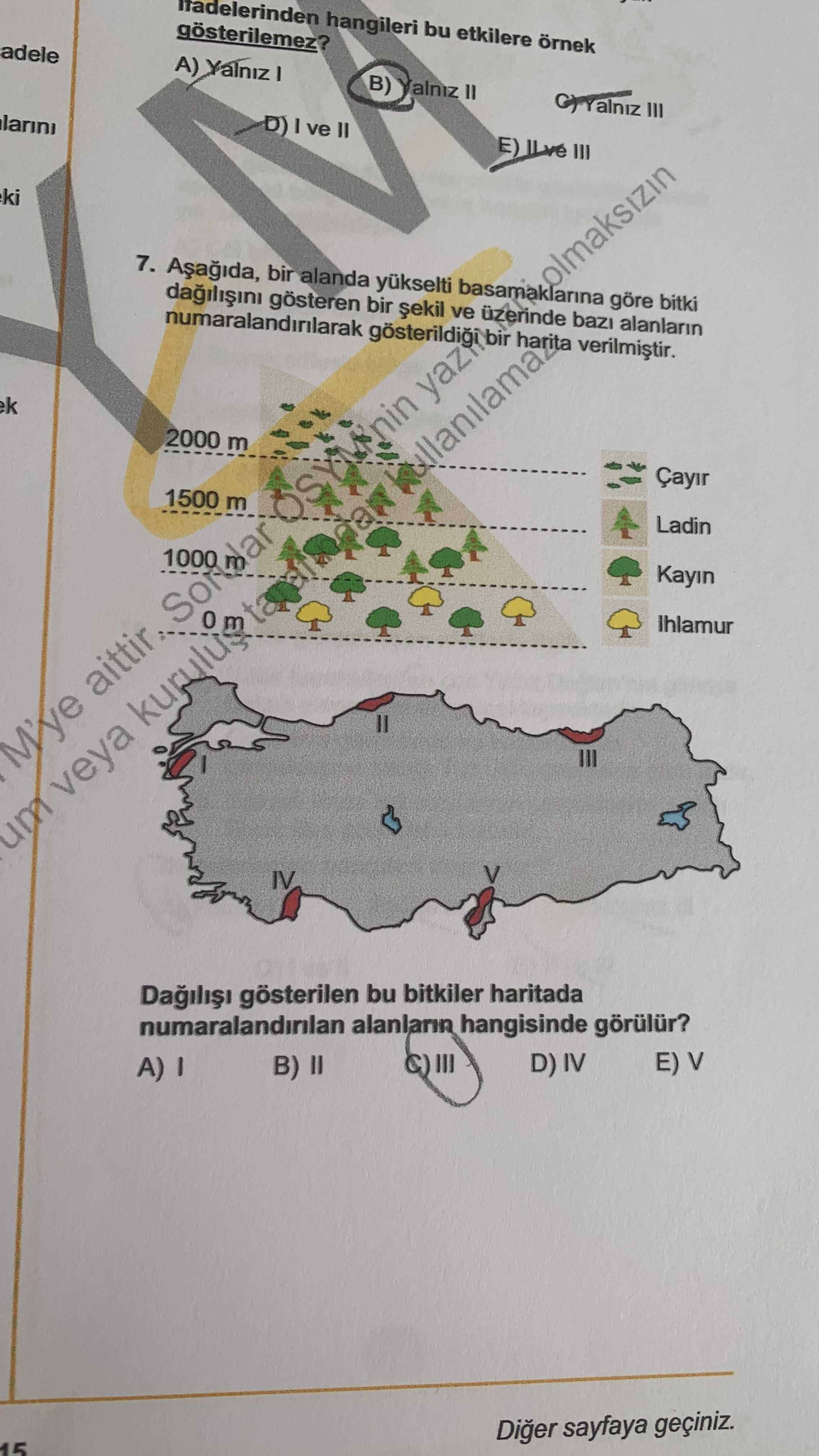 Aşağıda, bir alanda yükselti basamaklarına göre bitki dağılışını gösteren bir şekil ve üzerinde bazı