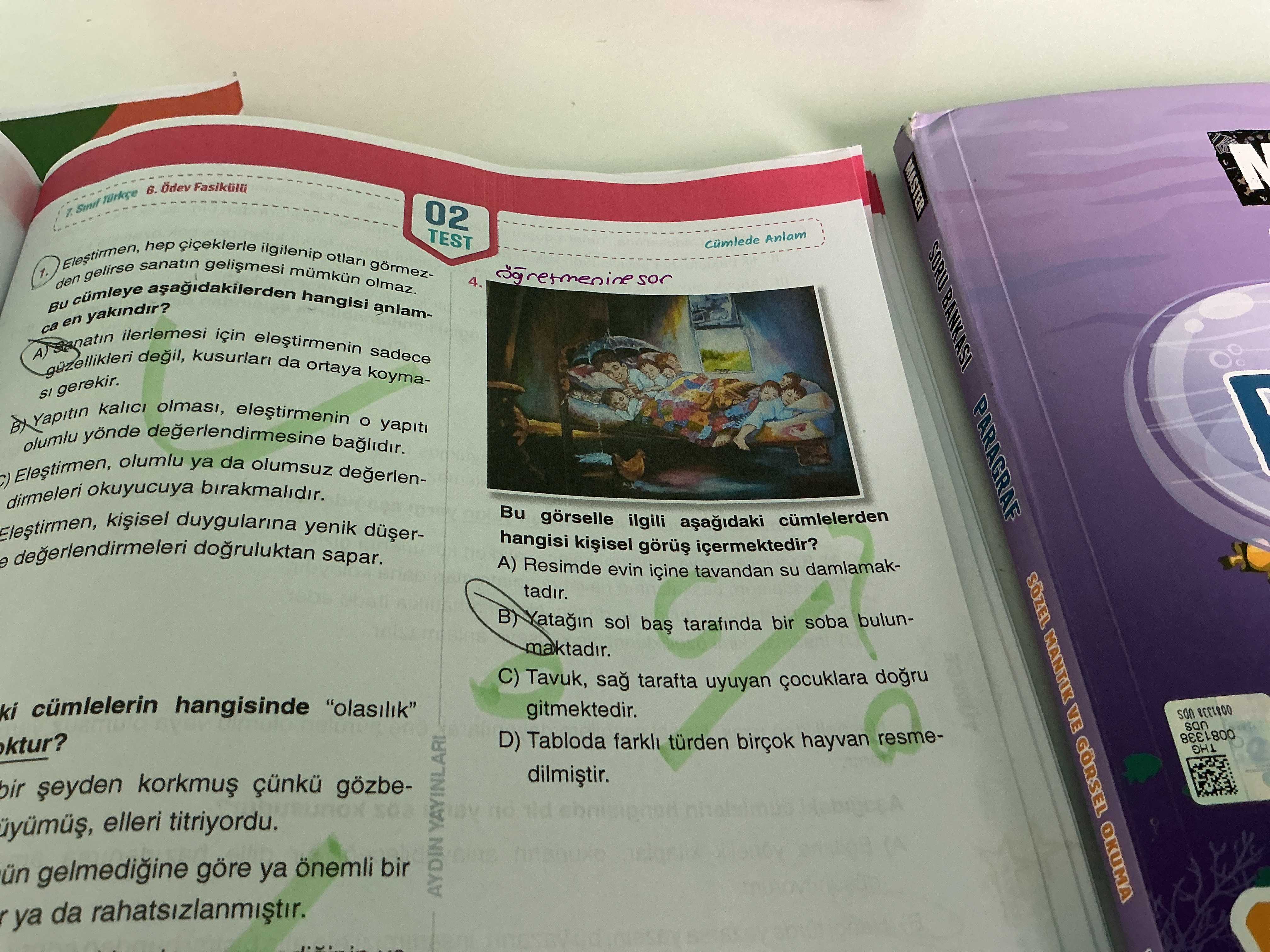 Cumhuriyet Dönemi'ne kadar bir müzemiz olmadığı için resim tarihimiz onarılamayacak zararlara uğramıştır. Yeni Türk resminin