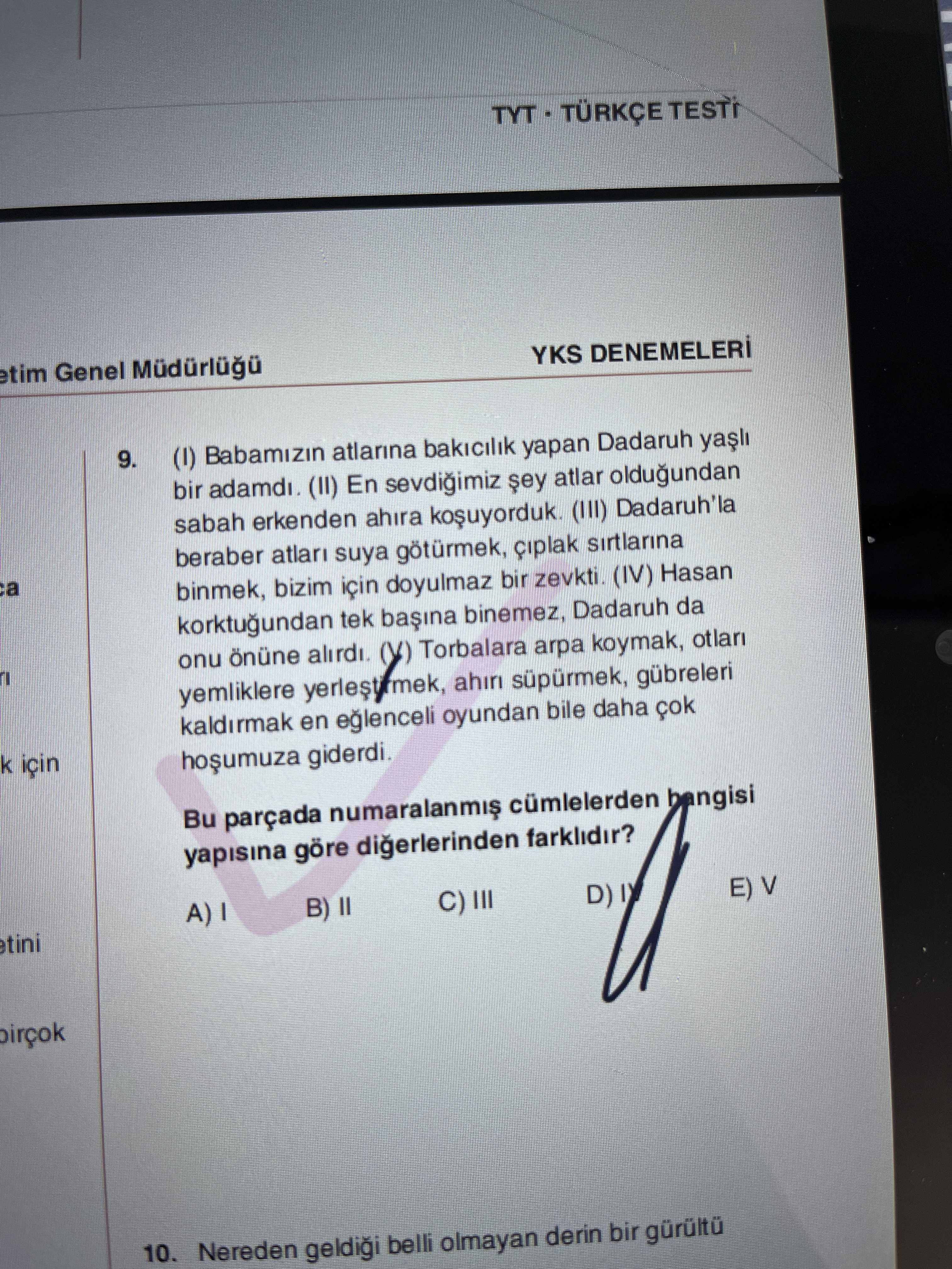(I) Babamızın atlarına bakıcılık yapan Dadaruh yaşlı bir adamdı. (II) En sevdiğimiz şey atlar