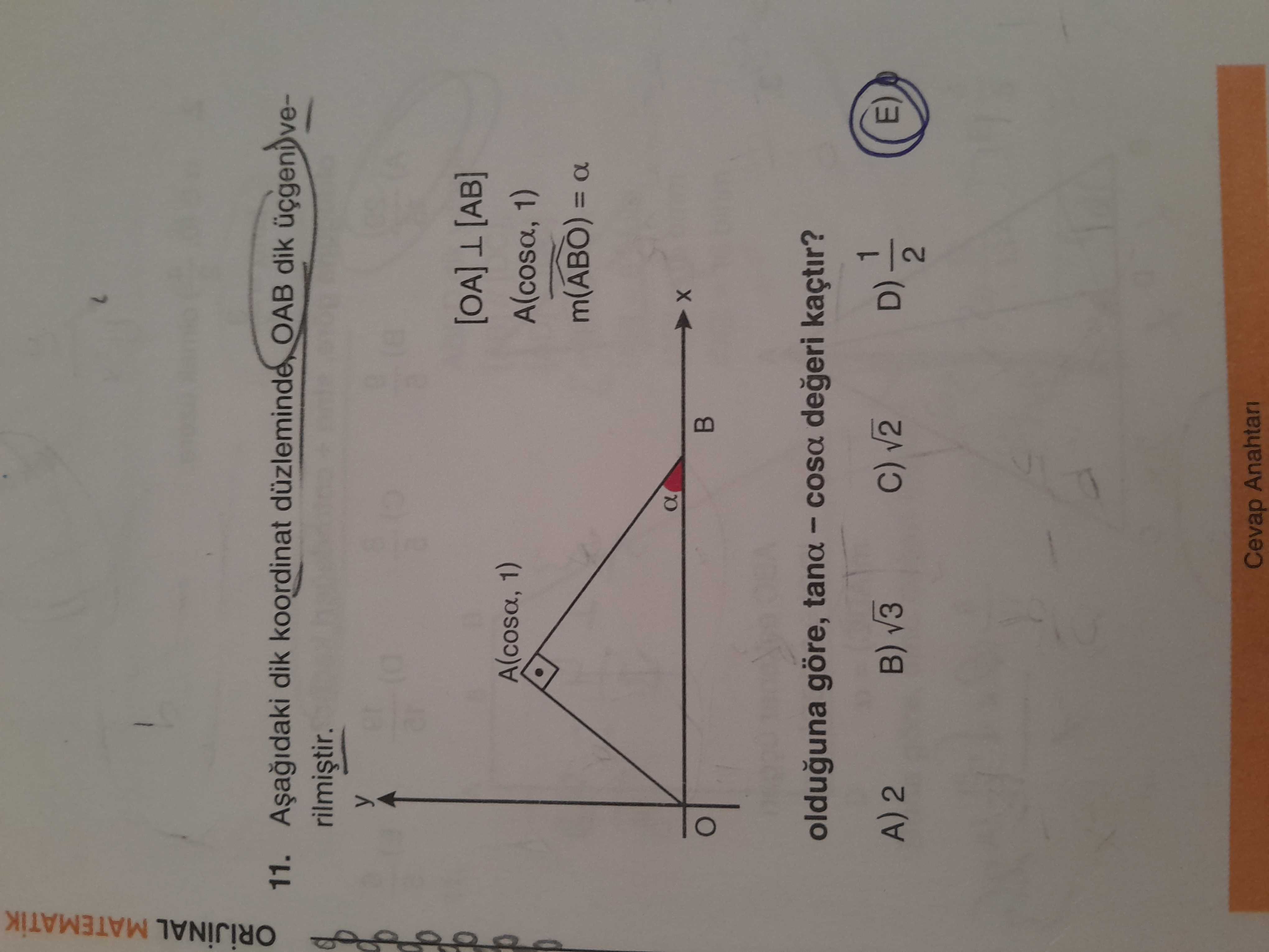 Matematik (11. Sınıf)