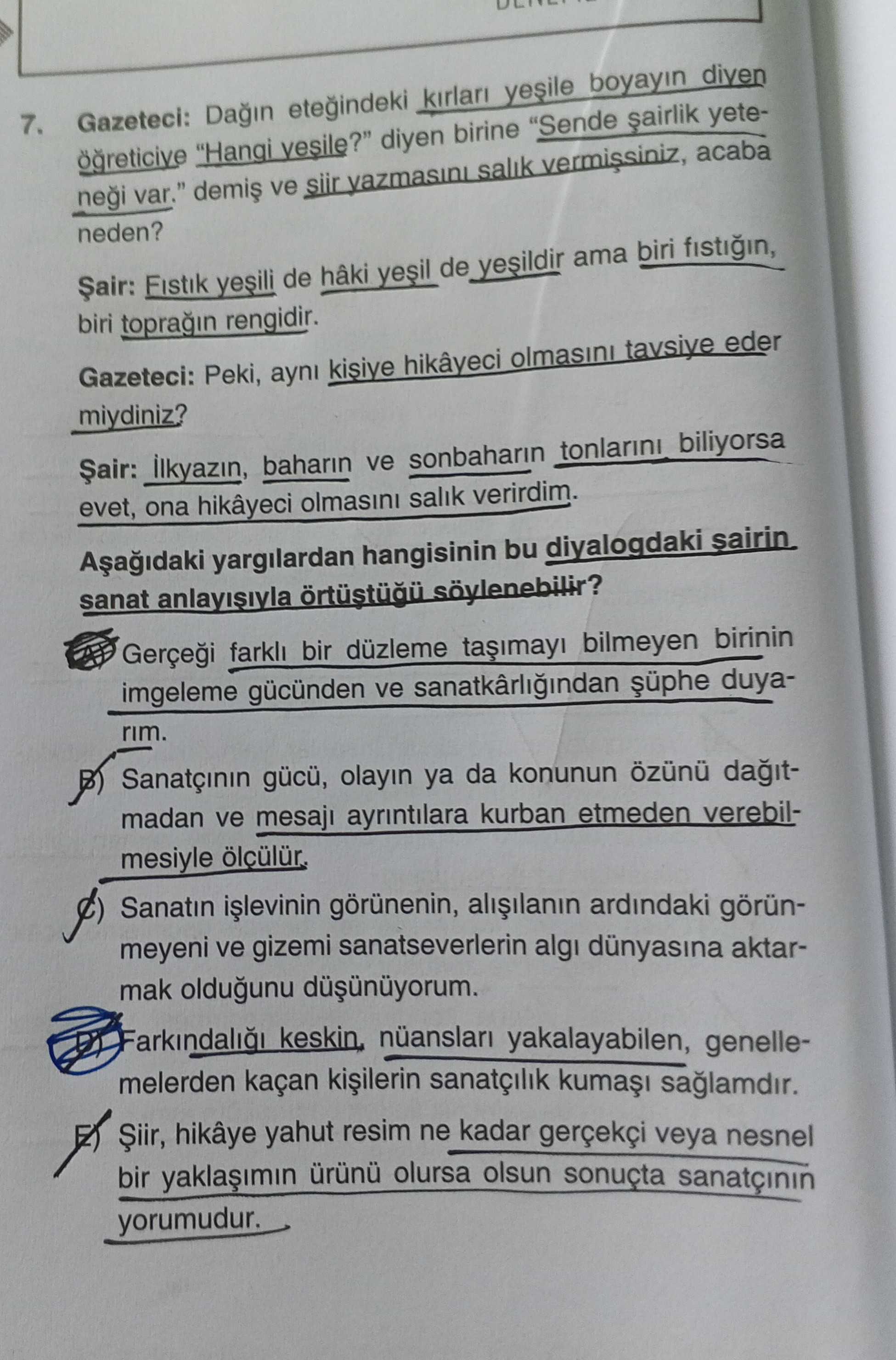 Gazeteci: Dağın eteğindeki kırları yeşile boyayın diyen öğreticiye "Hangi yeşile?" diyen birine