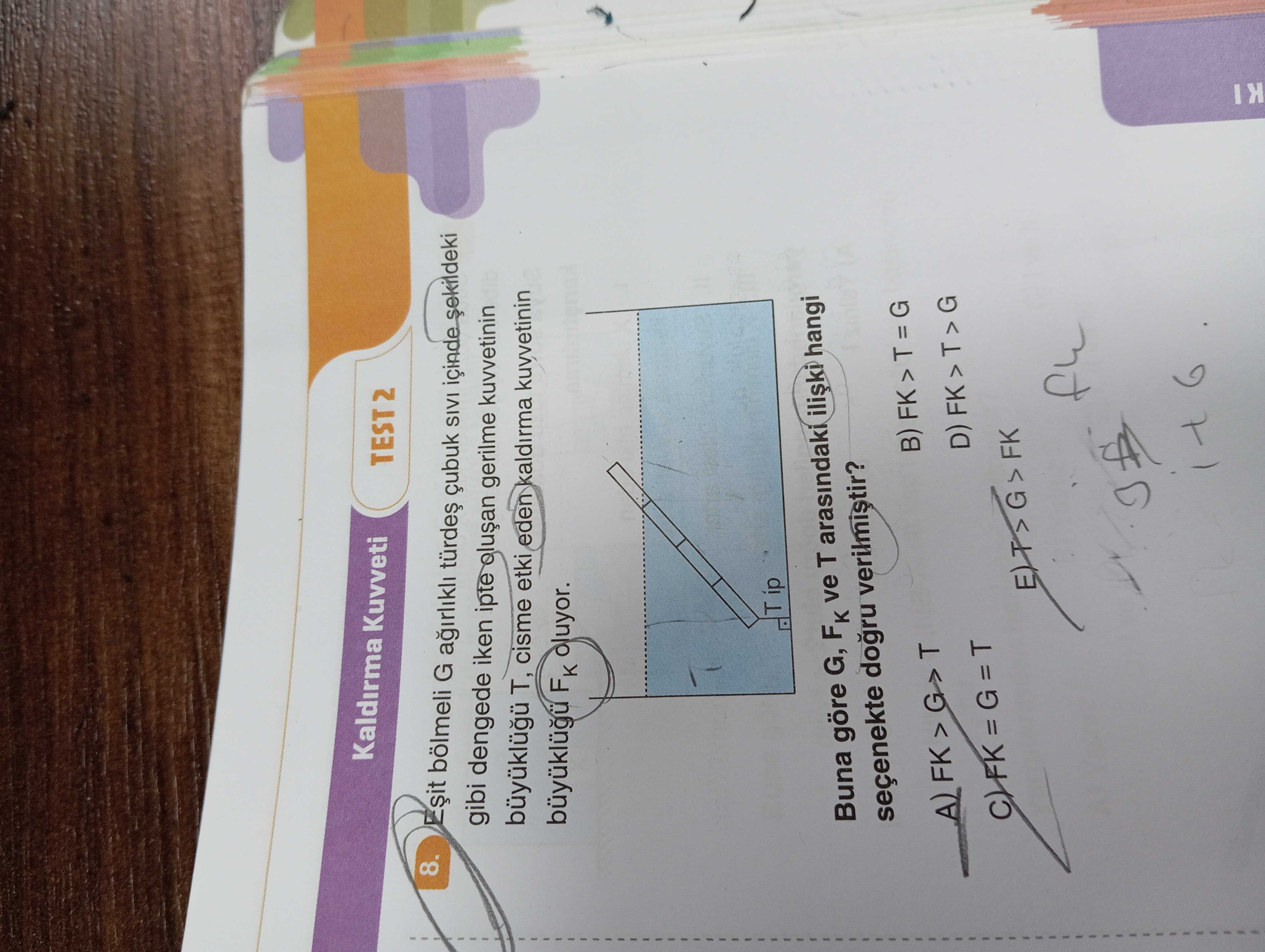 Fizik (12. Sınıf)