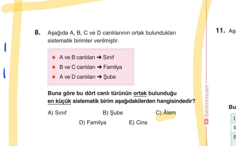Aşağıda A, B, C ve D canlılarının ortak bulundukları sistematik birimler verilmiştir. • A ve B