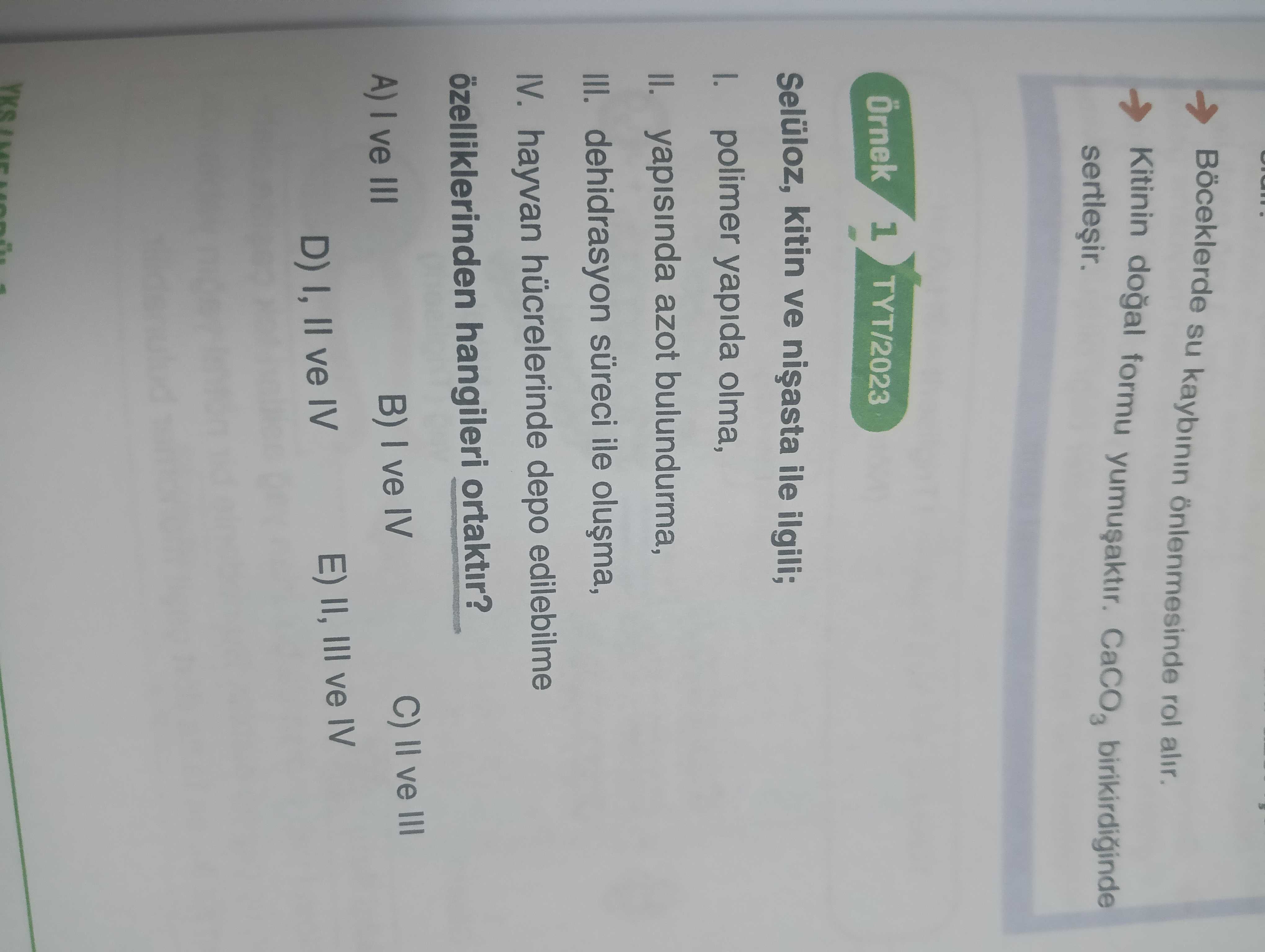 Biyoloji (12. Sınıf)
