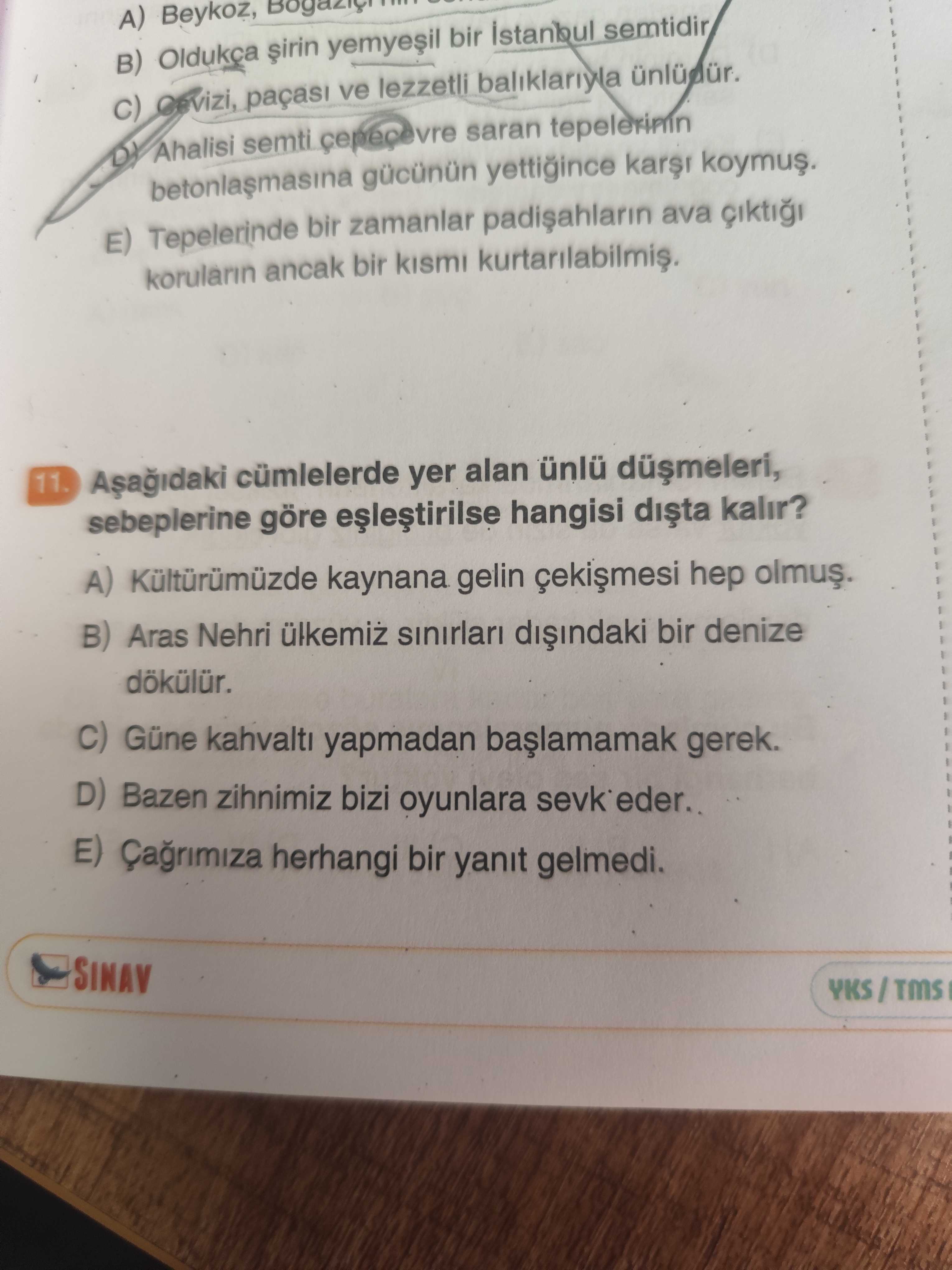 Türkçe (Mezun)