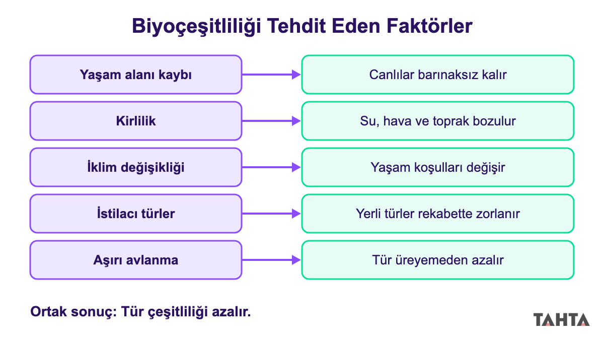 Biyoçeşitliliği tehdit eden beş faktörü ve her birinin canlılar üzerindeki sonucunu gösteren şema