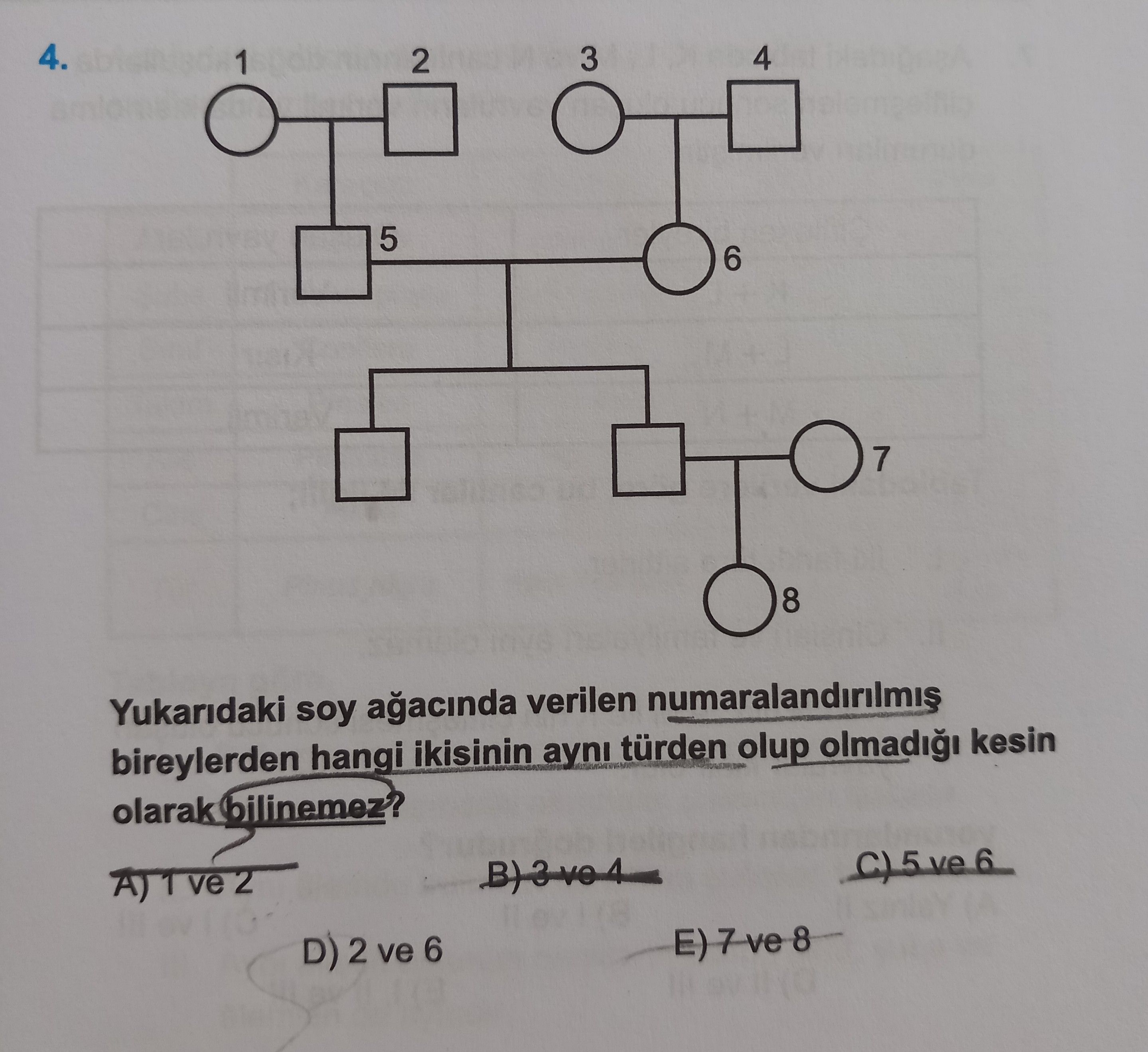 Yukarıdaki soy ağacında verilen numaralandırılmış bireylerden hangi ikisinin aynı türden olup