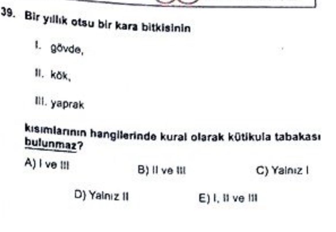 39. Bir yillik otsu bir kara bitkisinin 1. III. yaprak tabakasi kütikula kural olarak bulunmaz. A) ve C) B) ve III D) Yalniz 11 ve 39. A) ve C) B) ve III D) Yalniz 11 ve. ?? Model.Question.title