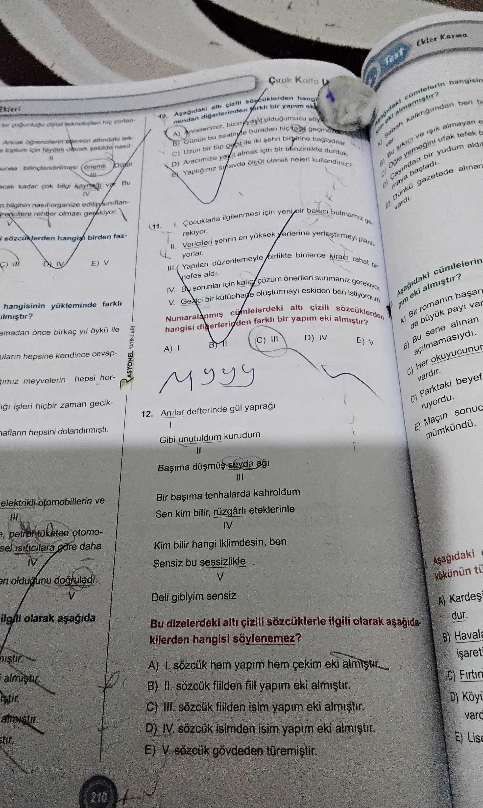 Türkçe (12. Sınıf)