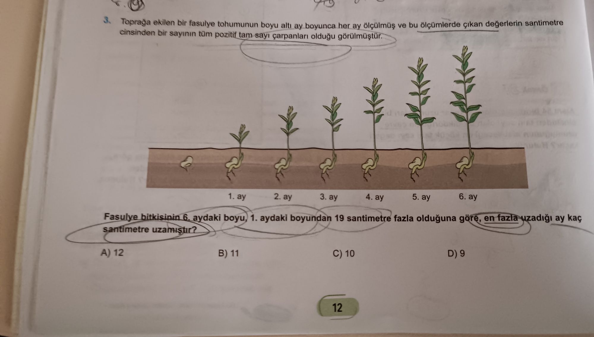 Toprağa ekilen bir fasulye tohumunun boyu altı ay boyunca her ay ölçülmüş ve bu ölçümlerde çıkan