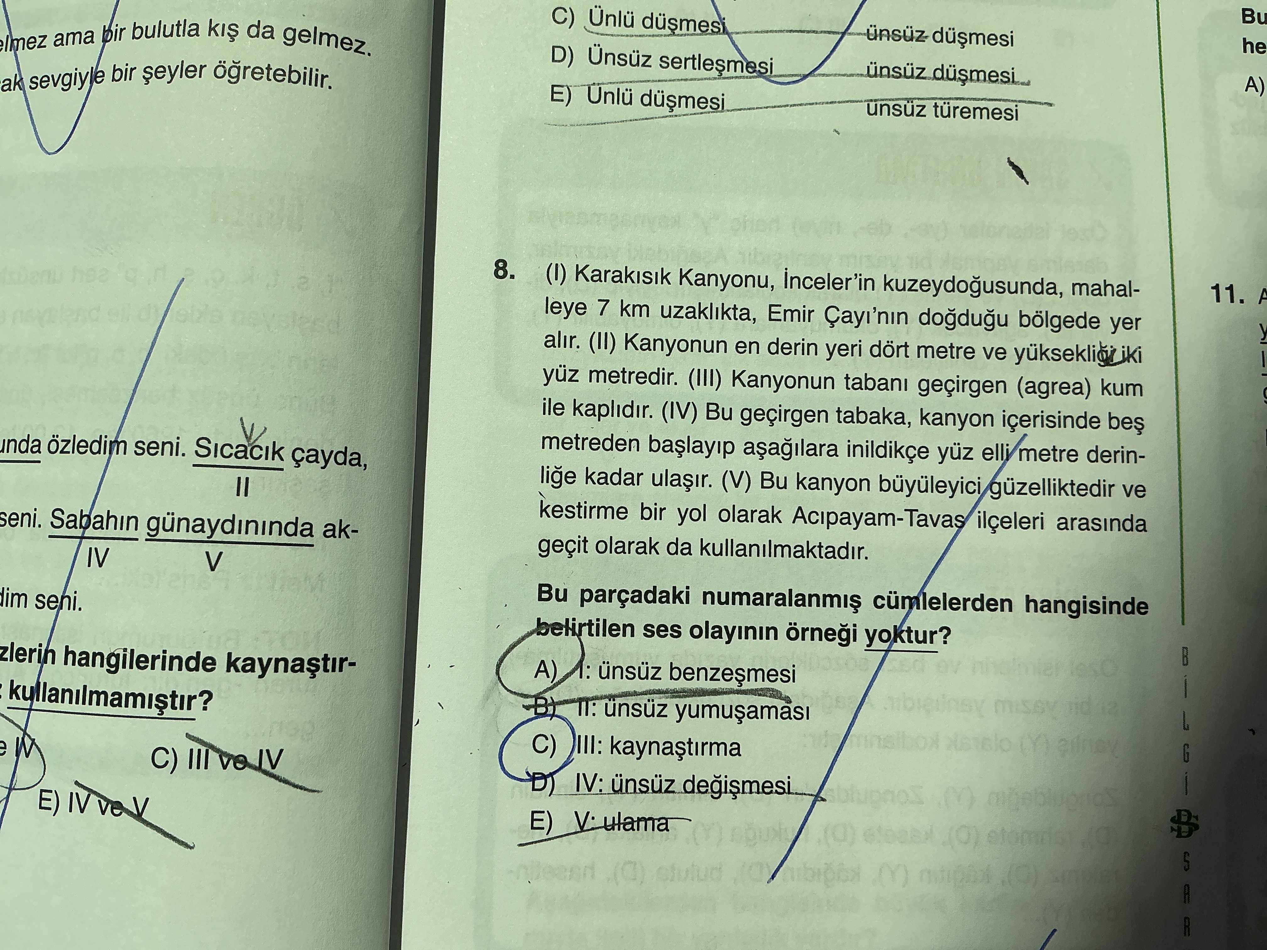 (I) Karakısık Kanyonu, İnceler'in kuzeydoğusunda, mahalleye 7 km uzaklıkta, Emir Çayı'nın doğduğu