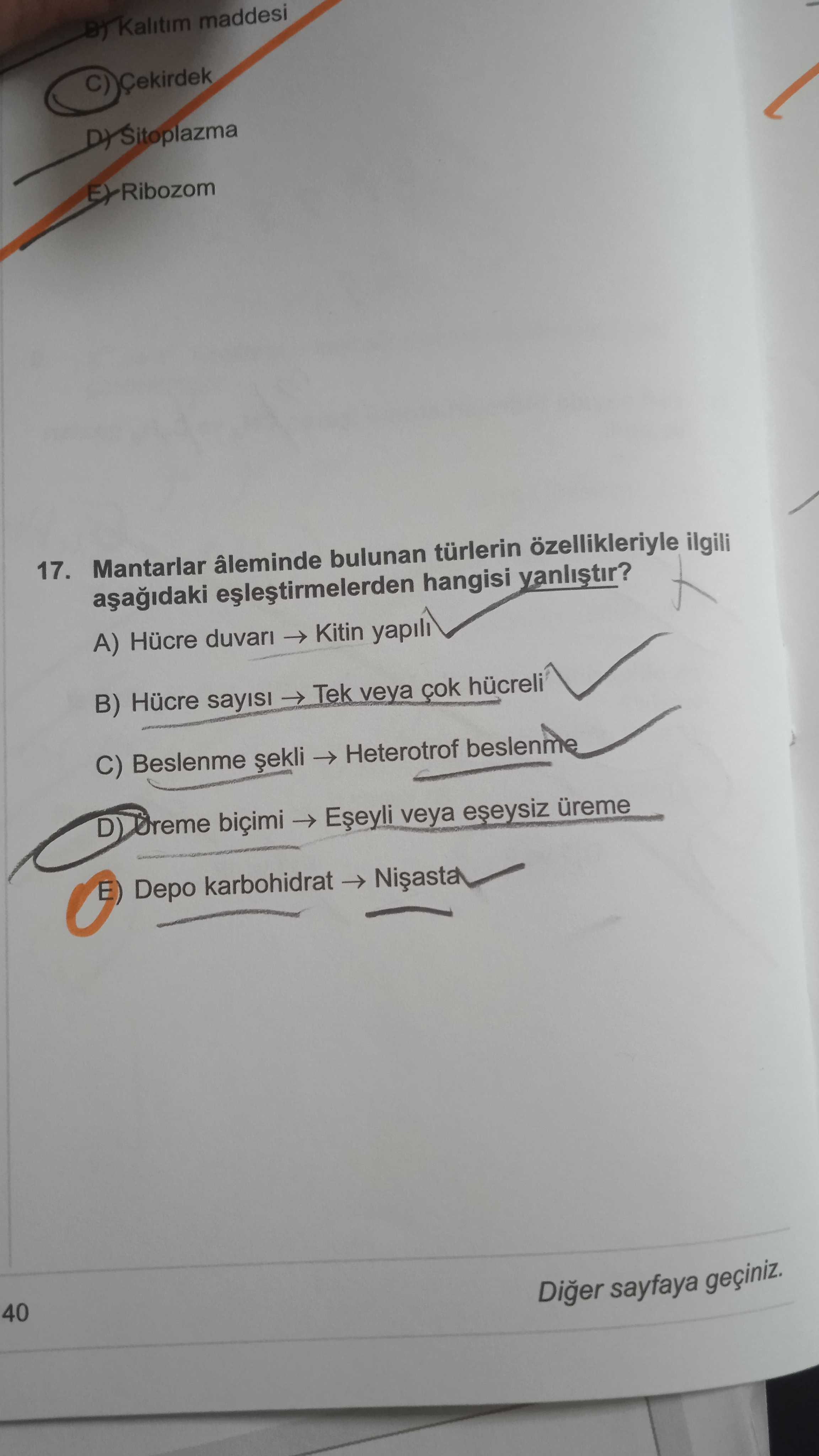 Mantarlar aleminde bulunan türlerin özellikleriyle ilgili aşağıdaki eşleştirmelerden hangisi yanlıştır?