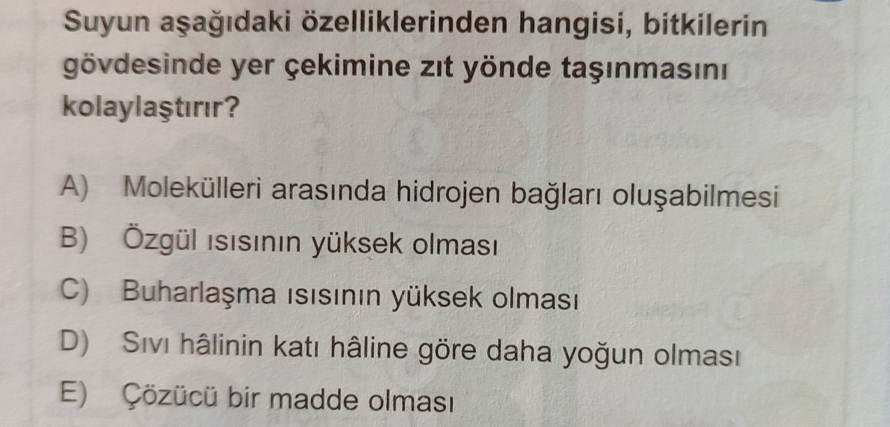 Suyun aşağıdaki özelliklerinden hangisi, bitkilerin gövdesinde yer çekimine zıt yönde taşınmasını