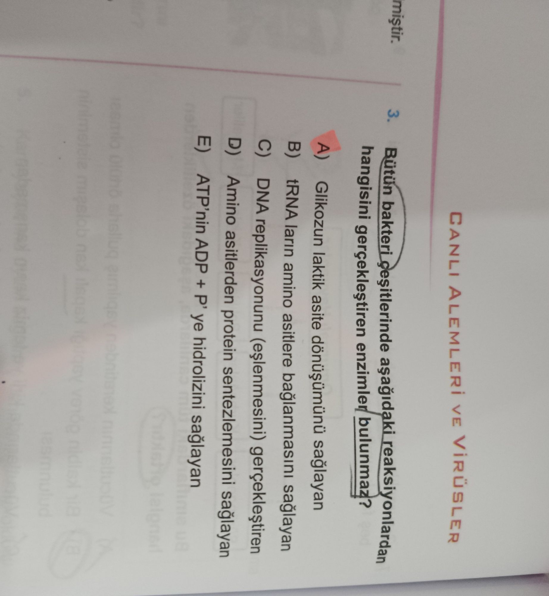 Bütün bakteri çeşitlerinde aşağıdaki reaksiyonlardan hangisini gerçekleştiren enzimler bulunmaz?