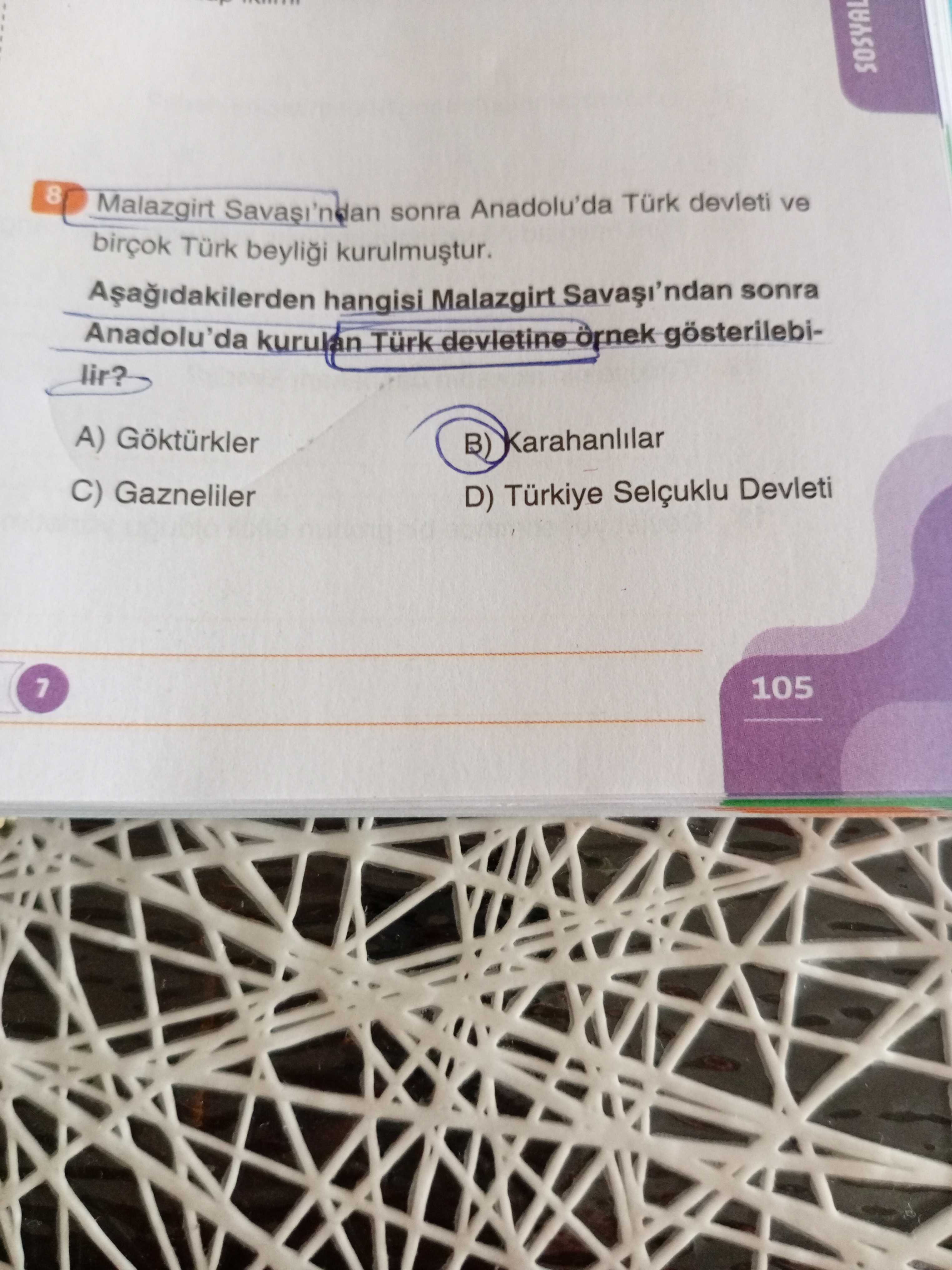 Sosyal Bilgiler (6. Sınıf)
