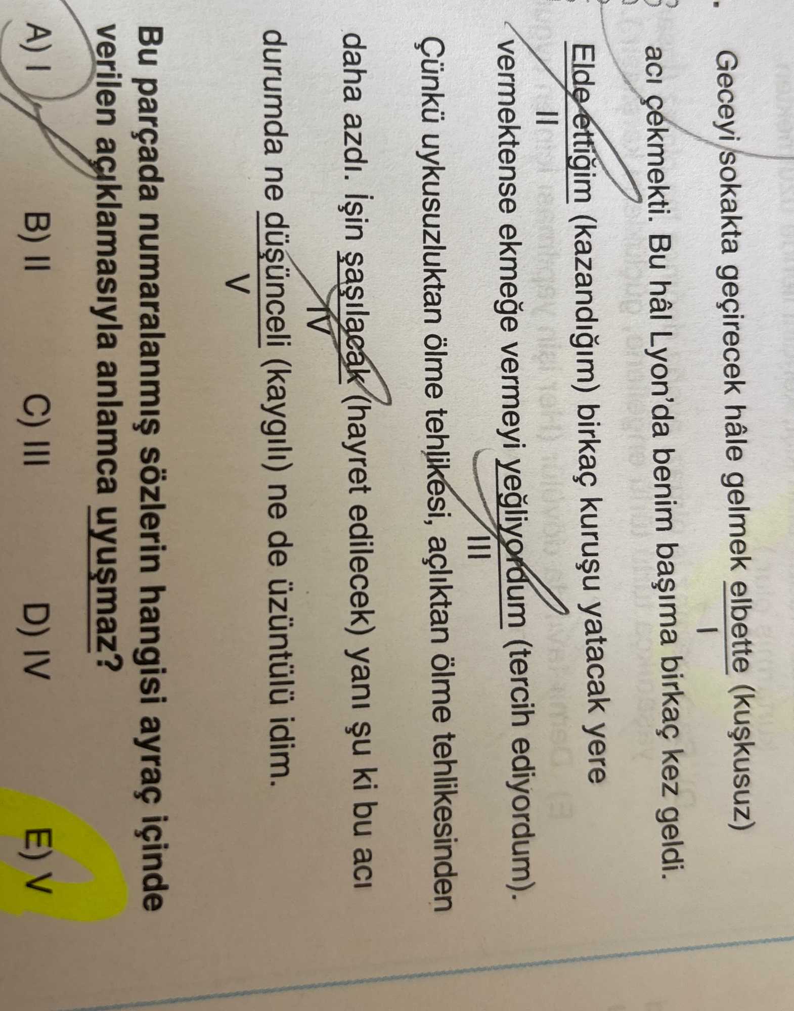 Geceyi sokakta geçirecek hâle gelmek elbette (kuşkusuz) acı çekmekti. Bu hâl Lyon'da benim başıma