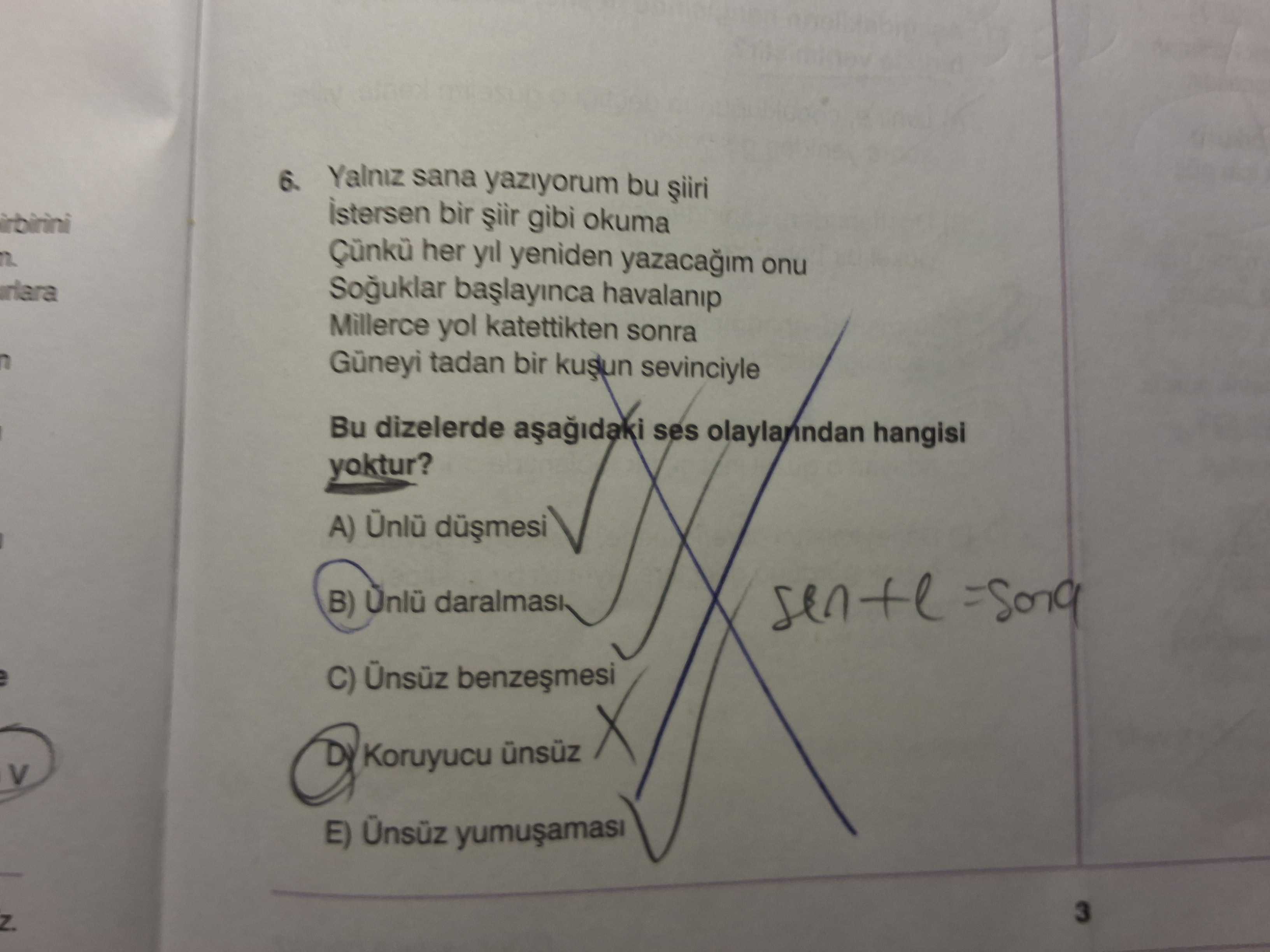 Yalnız sana yazıyorum bu şiiri İstersen bir şiir gibi okuma Çünkü her yıl yeniden yazacağım onu