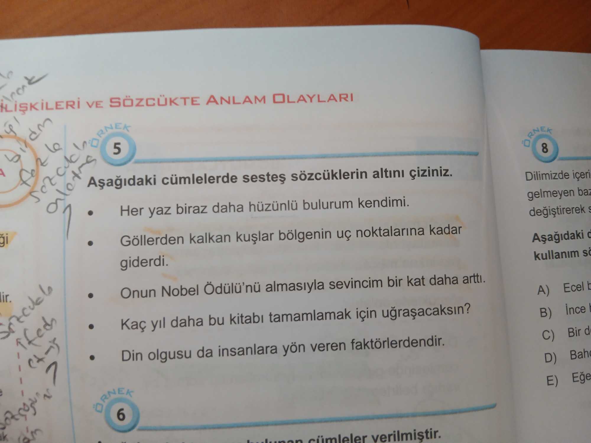 Aşağıdaki cümlelerde sesteş sözcüklerin altını çiziniz. • Her yaz biraz daha hüzünlü bulurum