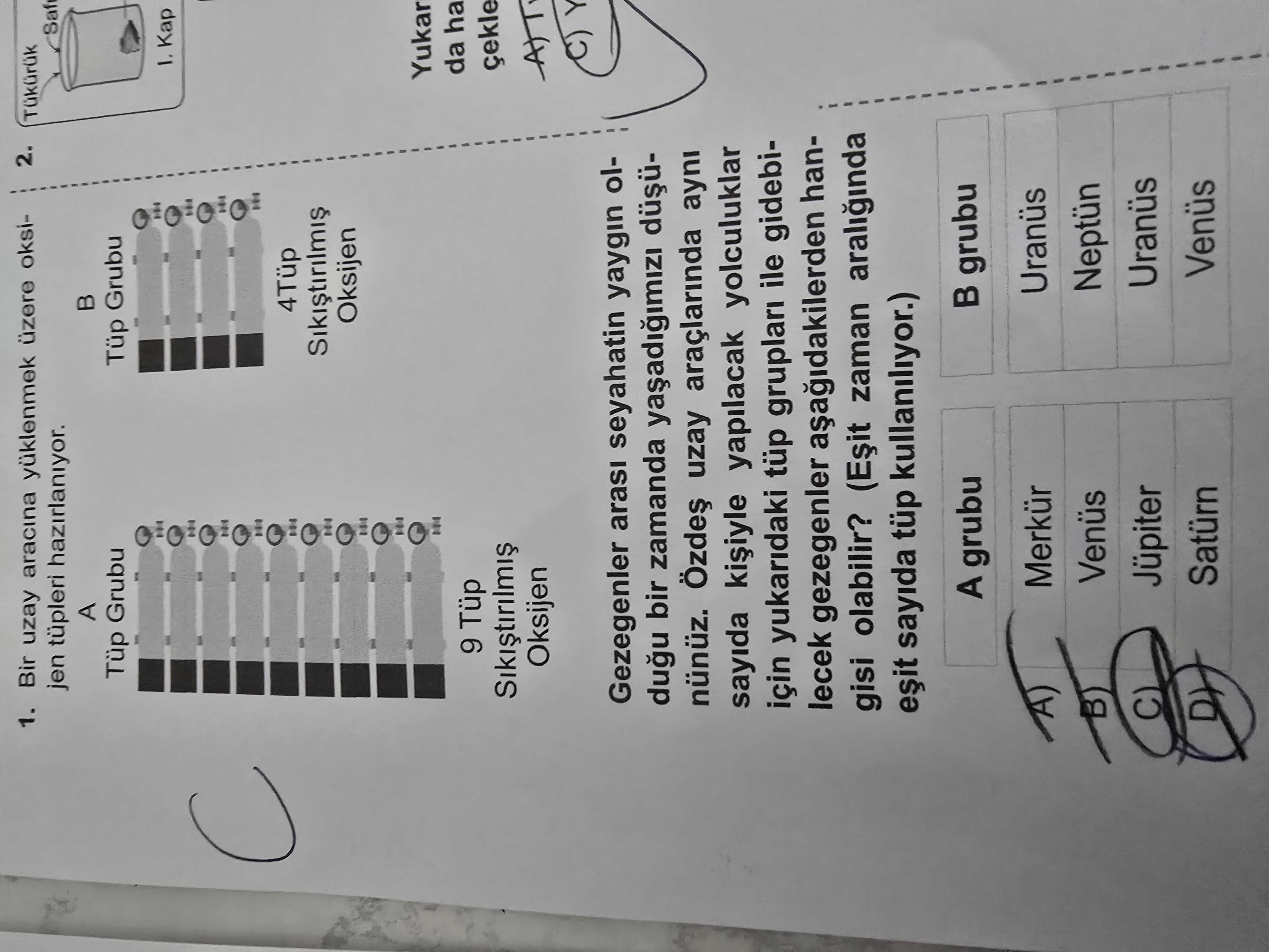 Fen Bilimleri (6. Sınıf)
