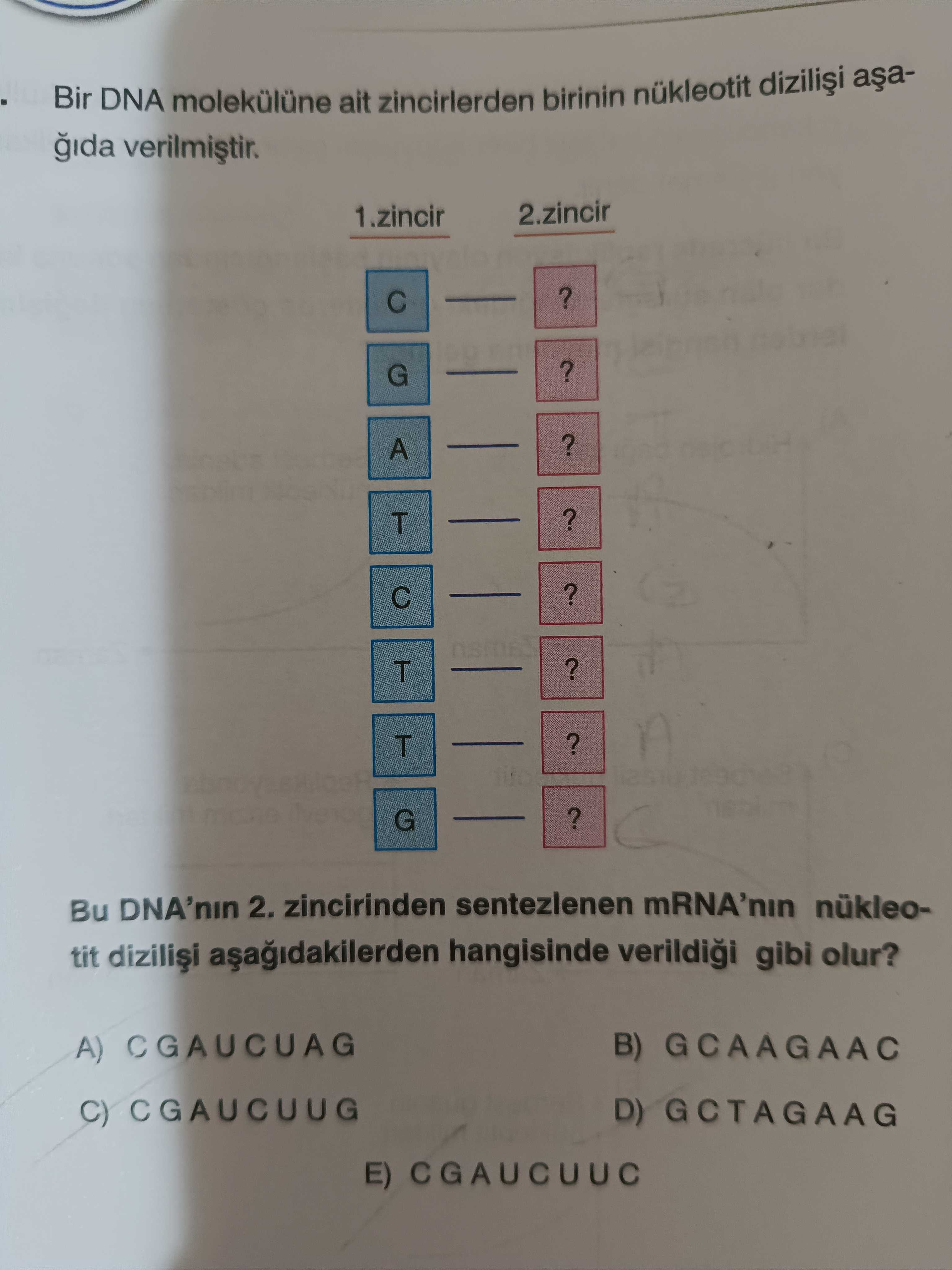 Biyoloji (11. Sınıf)
