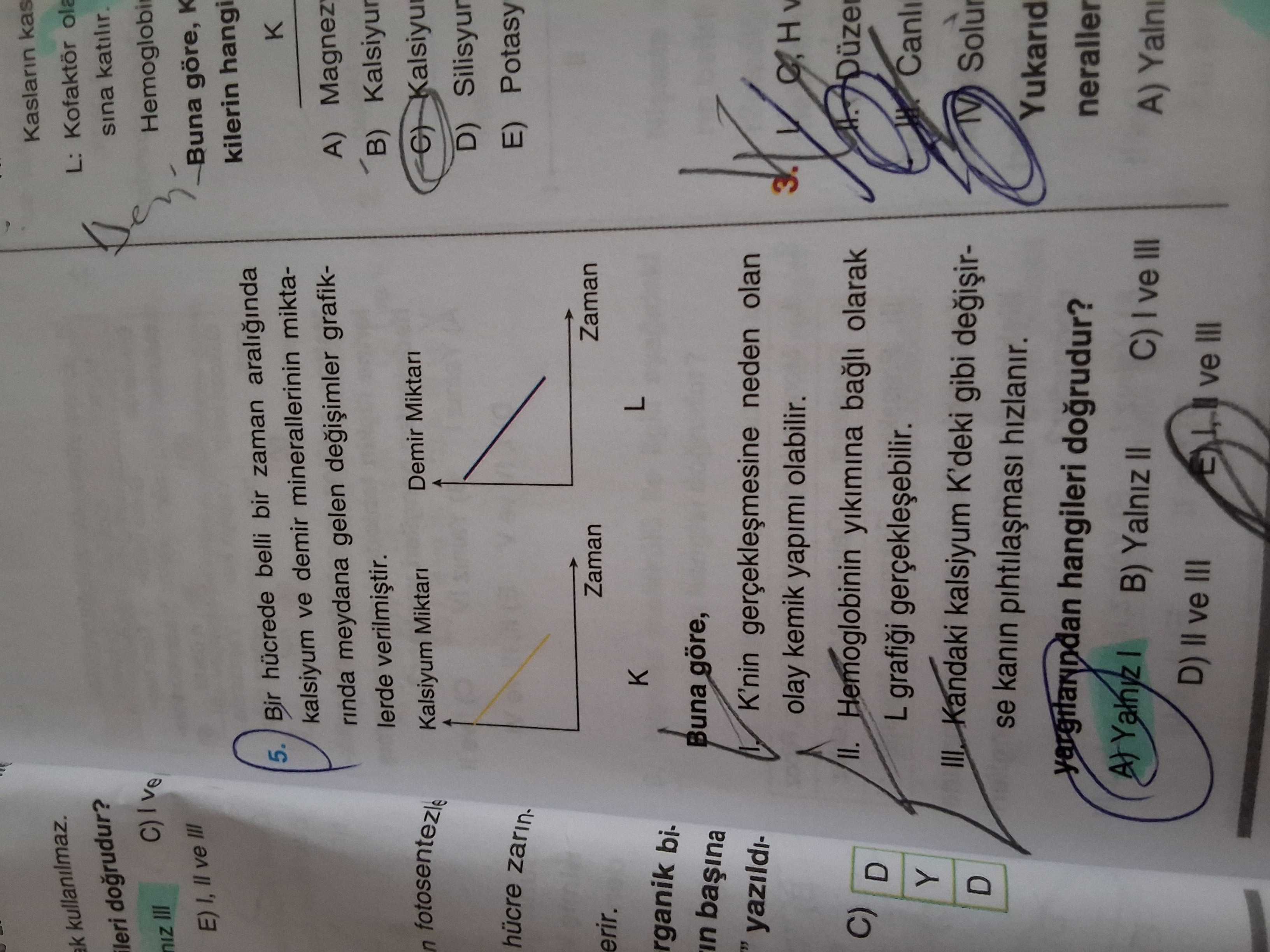 Biyoloji (12. Sınıf)
