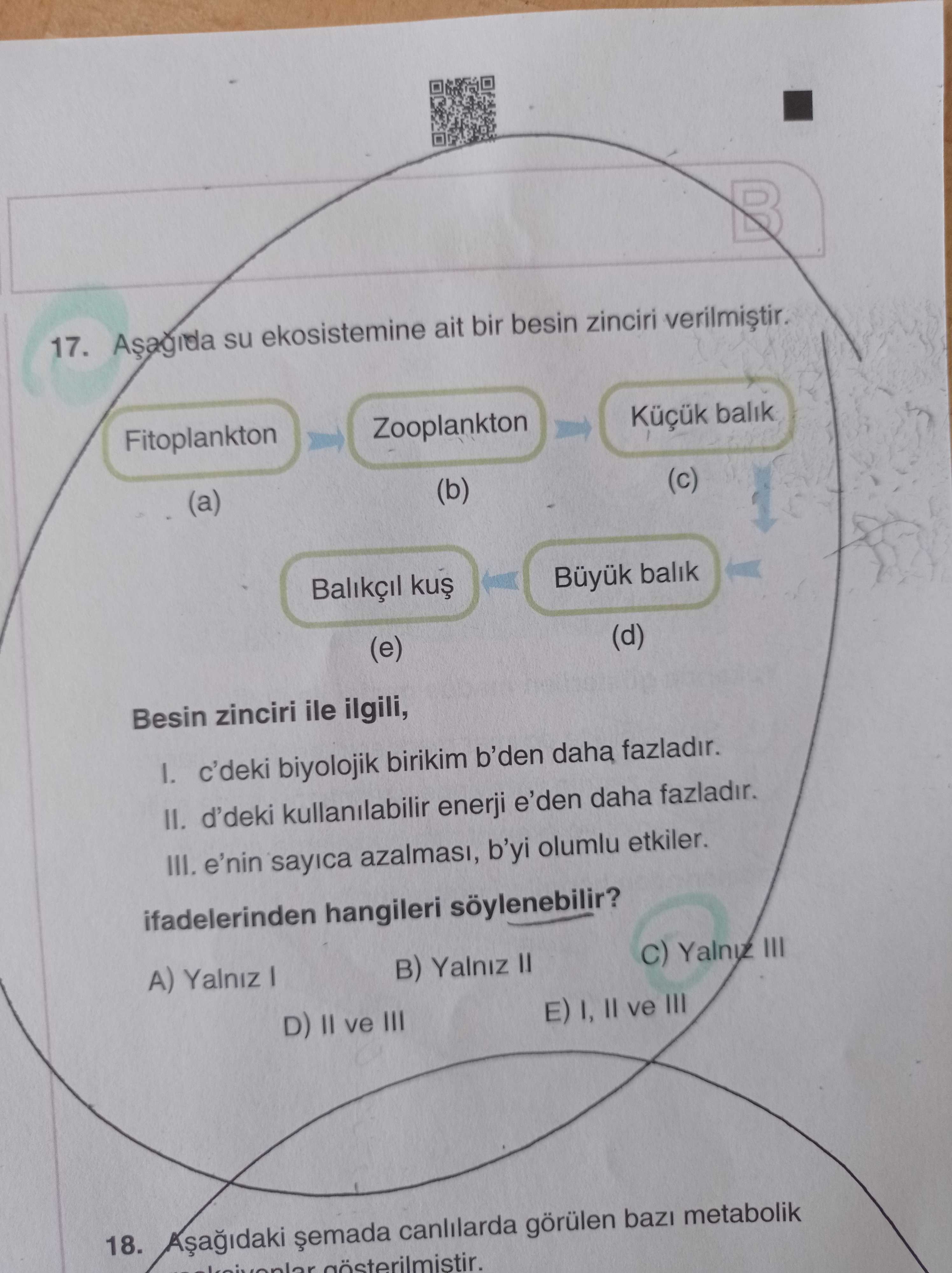 Aşağıda su ekosistemine ait bir besin zinciri verilmiştir. Fitoplankton (a)→ Zooplankton (b) → Küçük