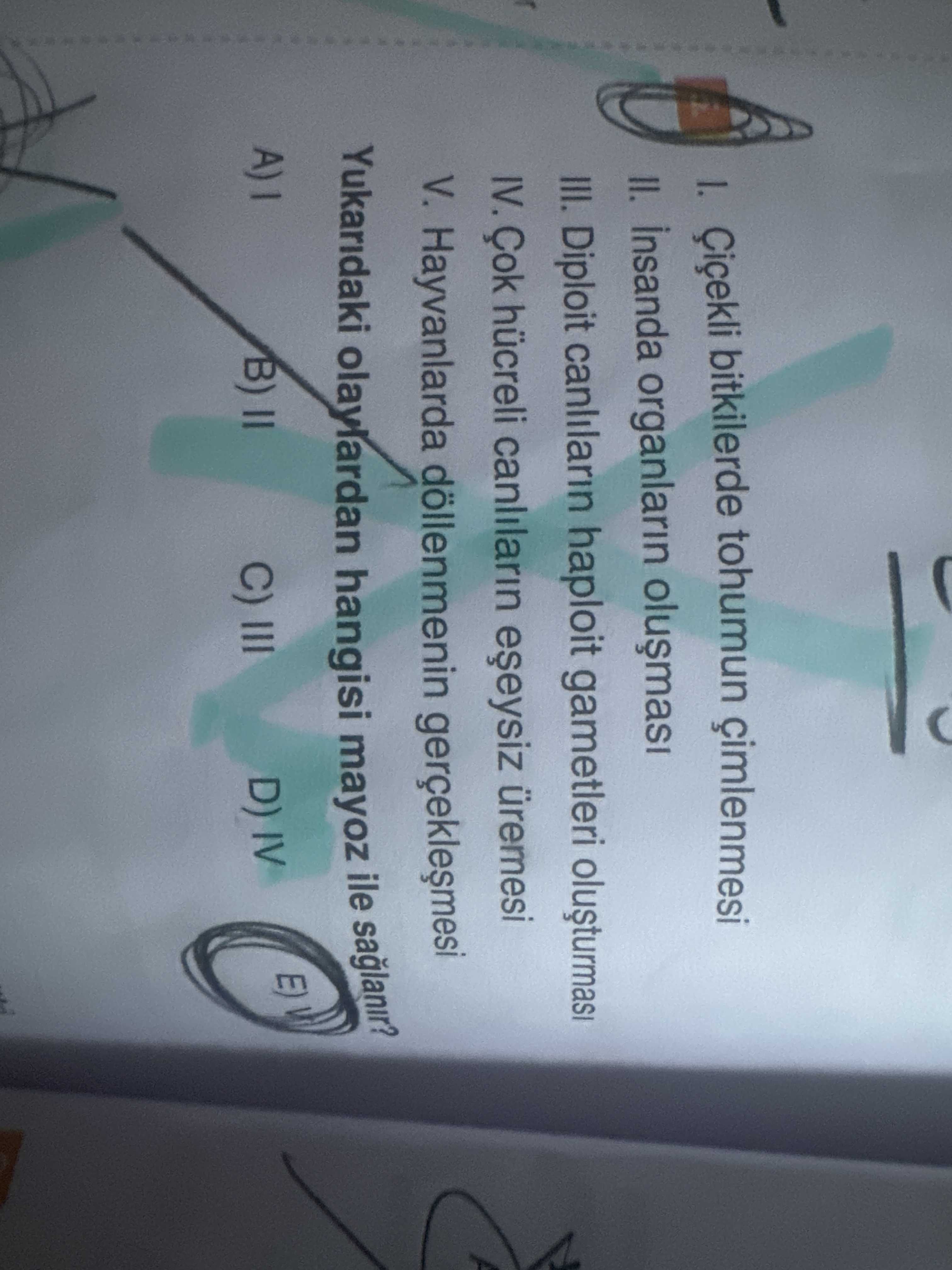 I. Çiçekli bitkilerde tohumun çimlenmesi II. İnsanda organların oluşması III. Diploit canlıların