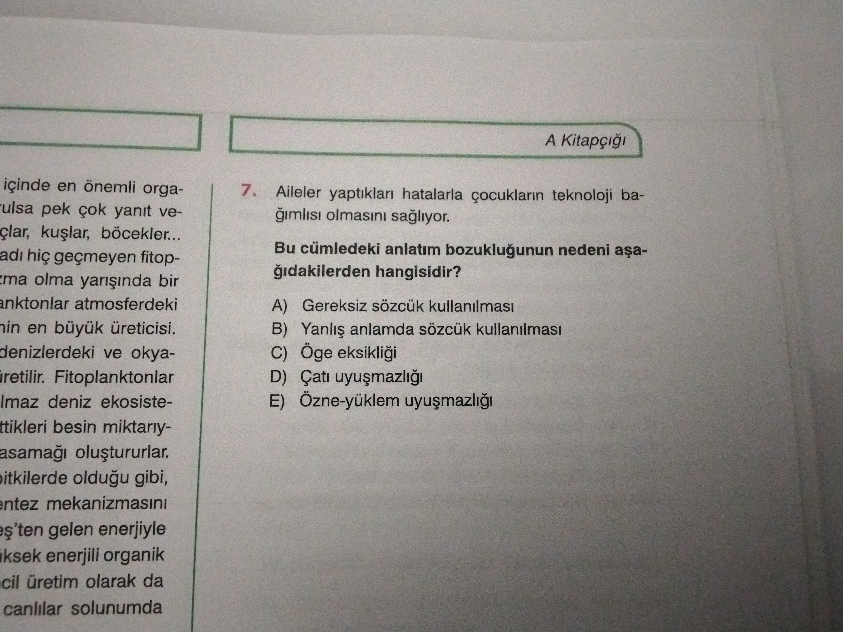 Türk Dili ve Edebiyatı  (11. Sınıf)