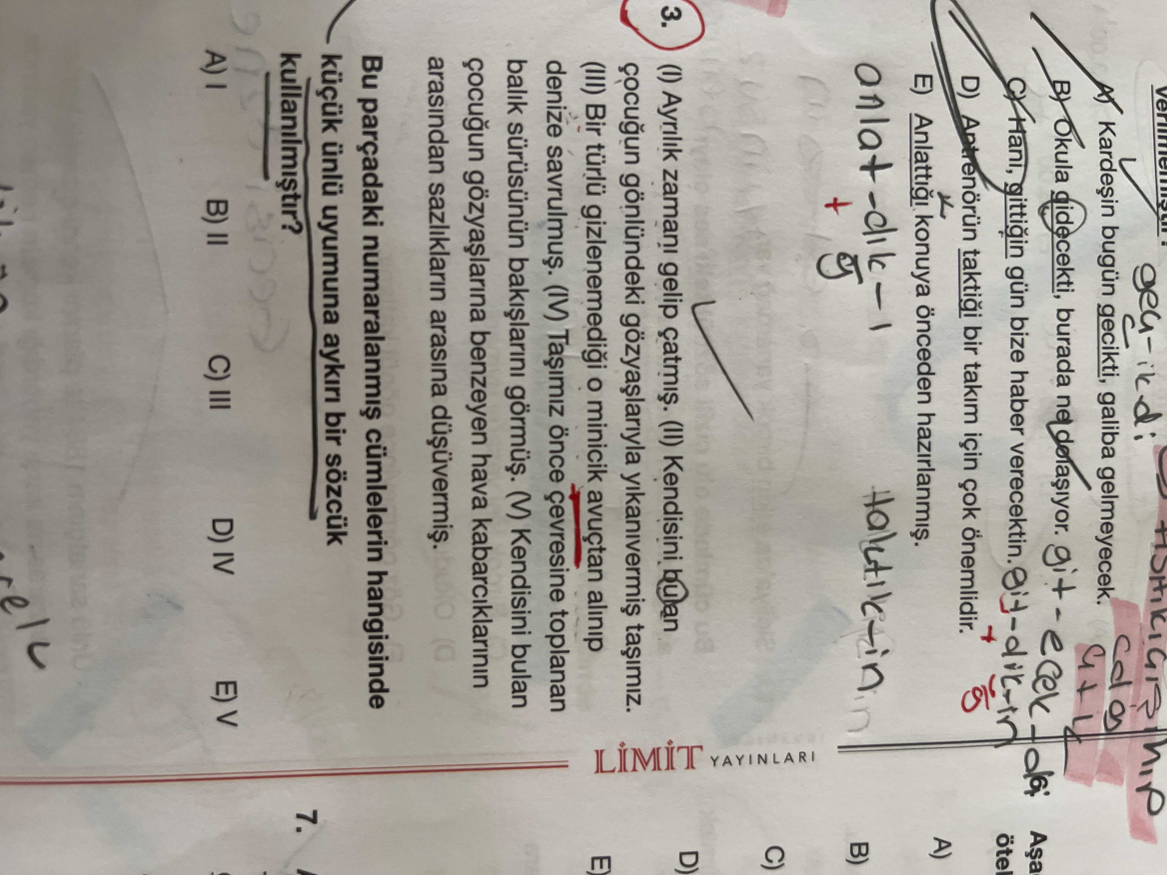 Türkçe (12. Sınıf)