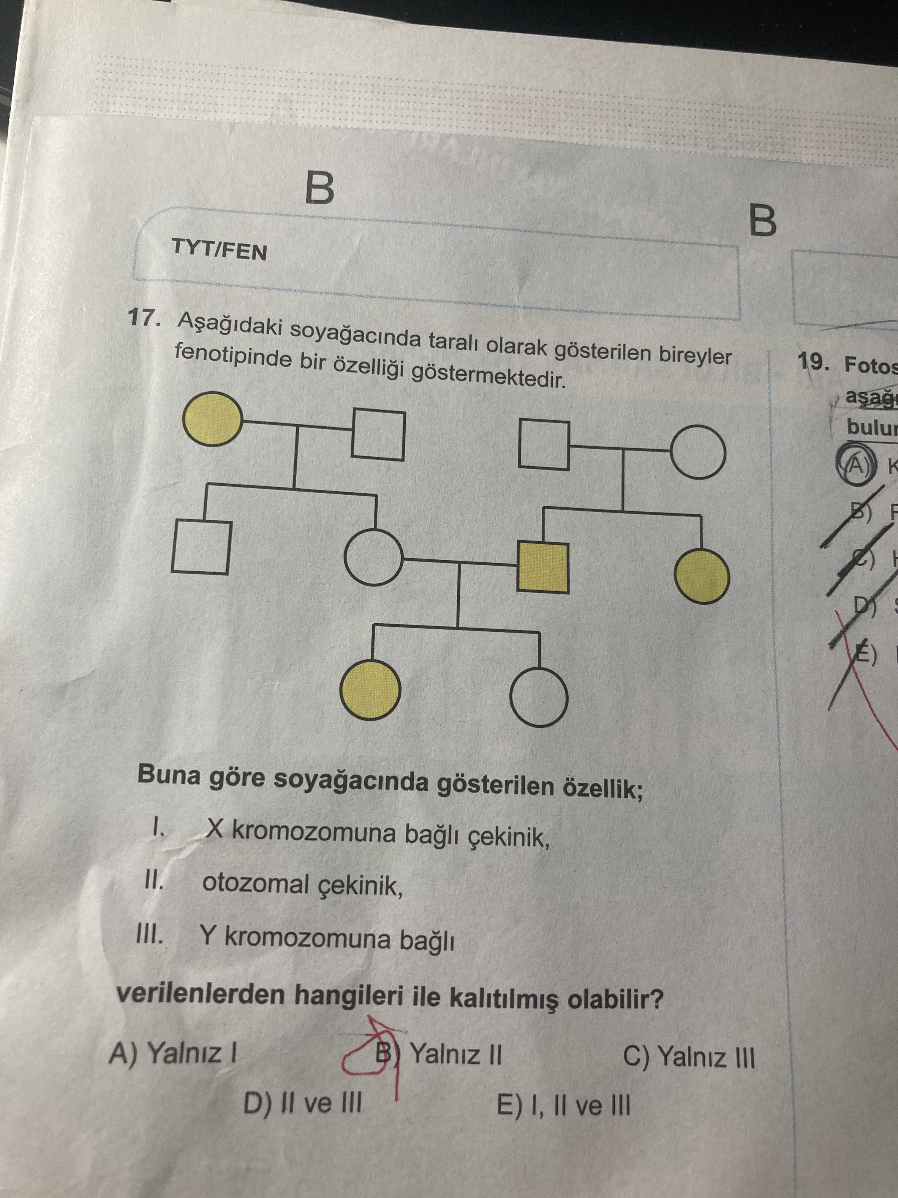 Aşağıdaki soyağacında taralı olarak gösterilen bireyler fenotipinde bir özelliği göstermektedir