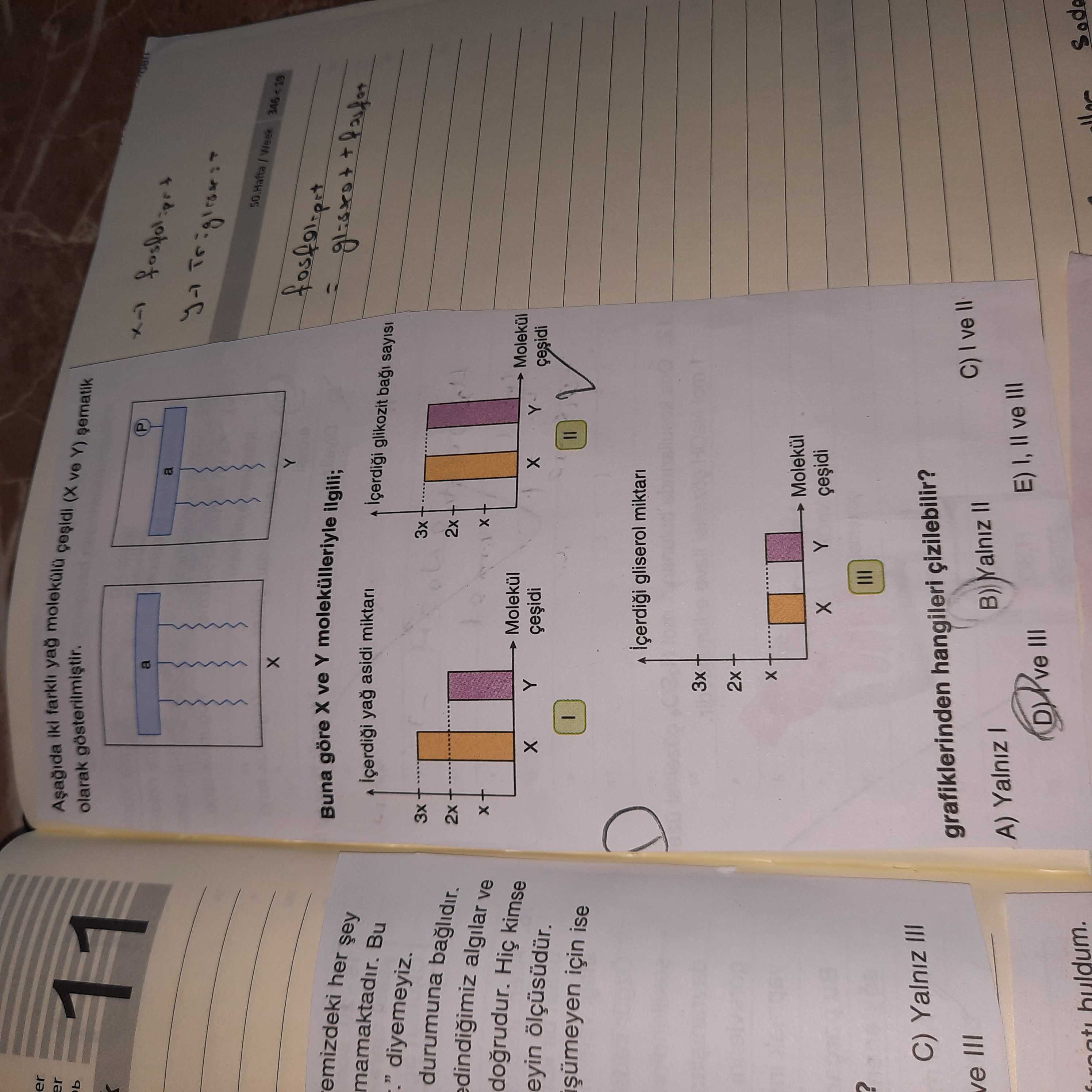 Er 11 iki farkh yag ve sematik olarak P a 50 emizdeki her Buna göre ve Y ilgili; mamaktadir. Bu asidi miktari glikozit sayisi durumuna baglidir. 3x 2x algilar ve dogrudur. kimse + Molekül Molekul eyin cesidi için ise içerdii gliserol miktari 3x 2x Molekül C) Yalniz III ve III grafiklerinden hangileri C) ve B) Yalniz II A) Yalniz I III E) III buldum. ?? Model.Question.title