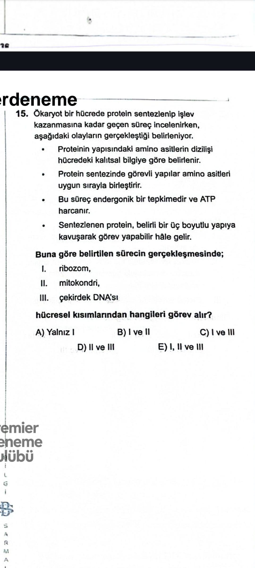 Ökaryot bir hücrede protein sentezlenip işlev kazanmasına kadar geçen süreç incelenirken, aşağıdaki