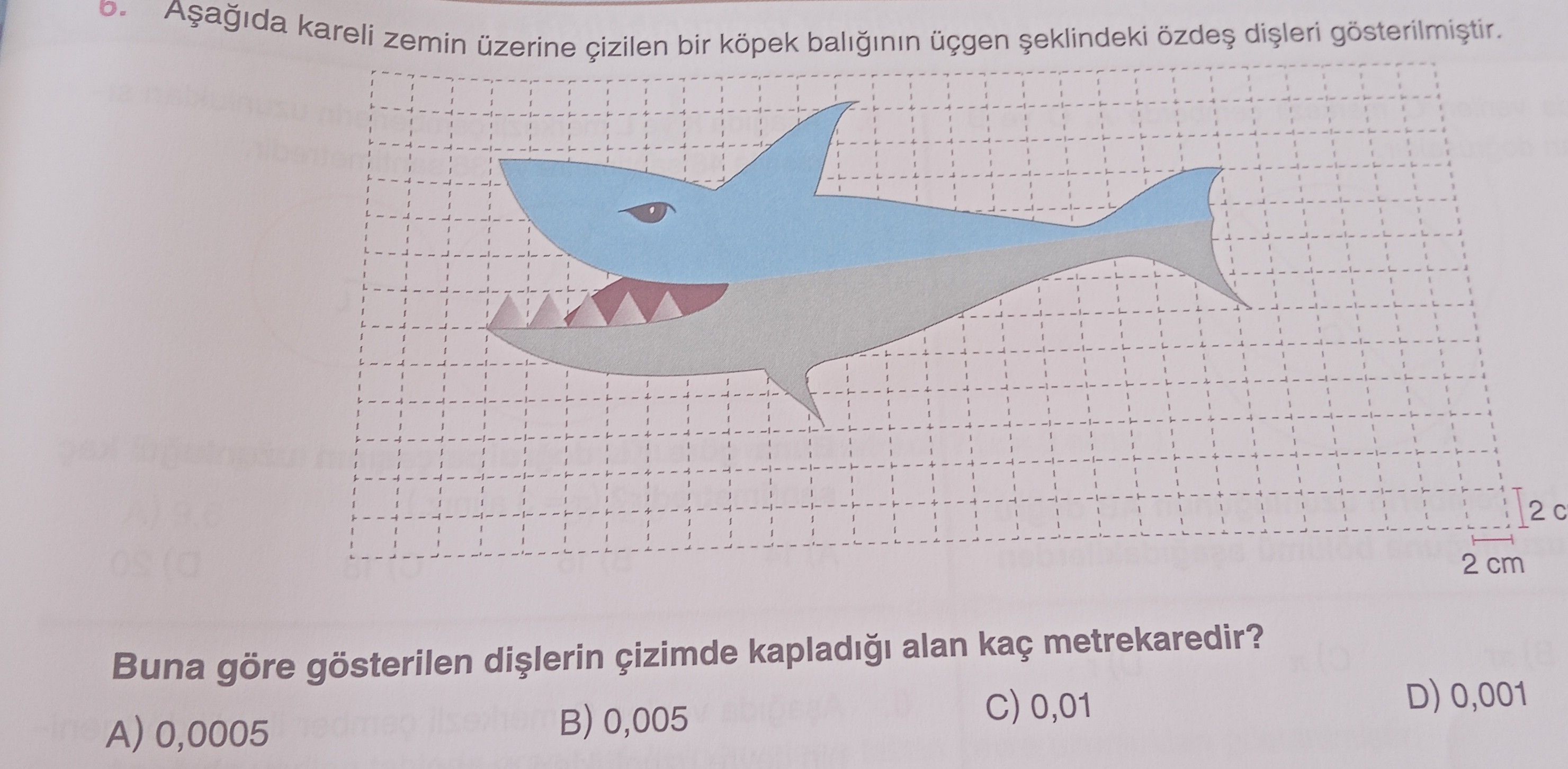 Aşağıda kareli zemin üzerine çizilen bir köpek balığının üçgen şeklindeki özdeş dişleri