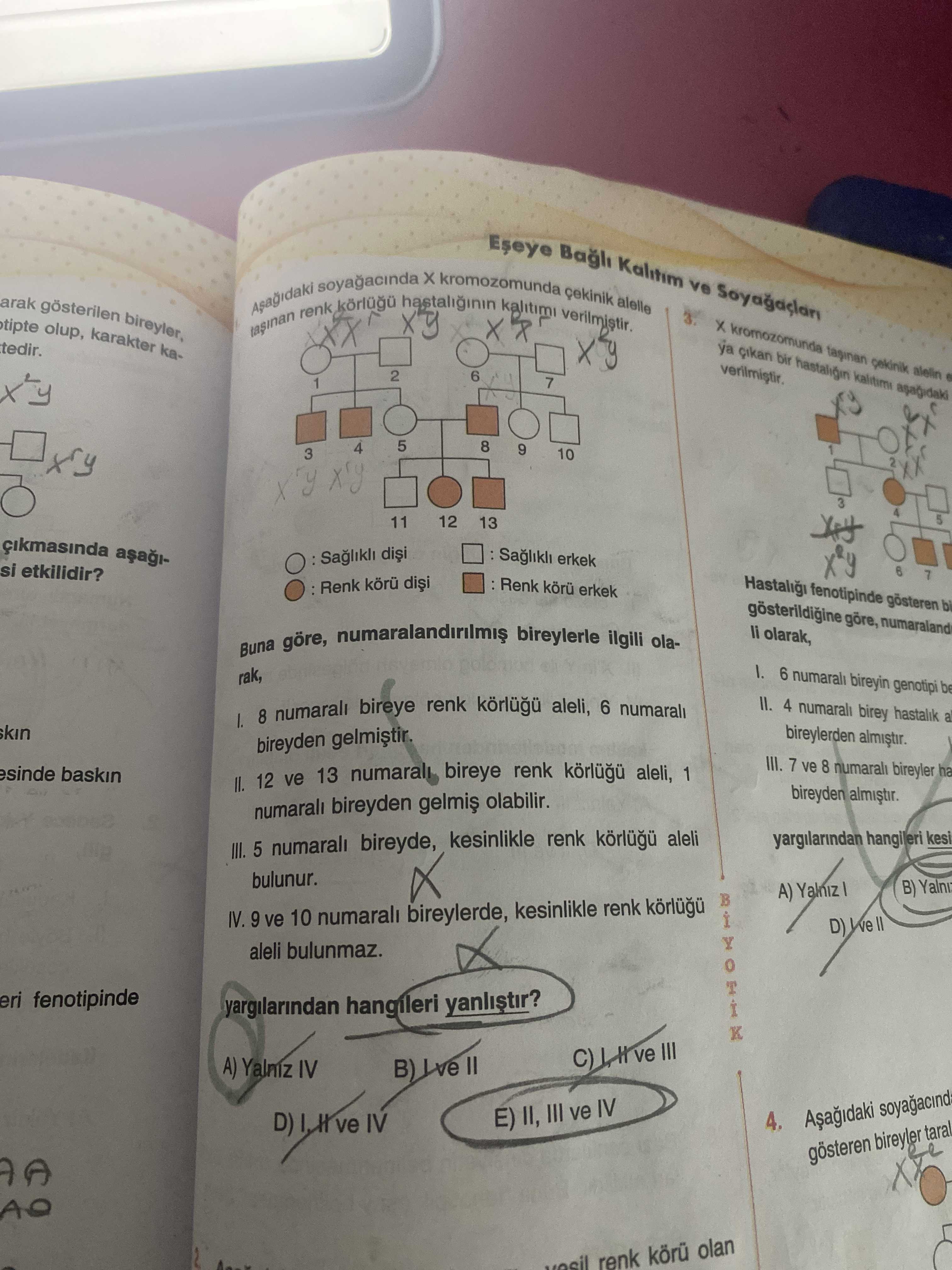 Aşağıdaki soyağacında X kromozomunda çekinik alelle taşınan renk körlüğü hastalığının kalıtımı