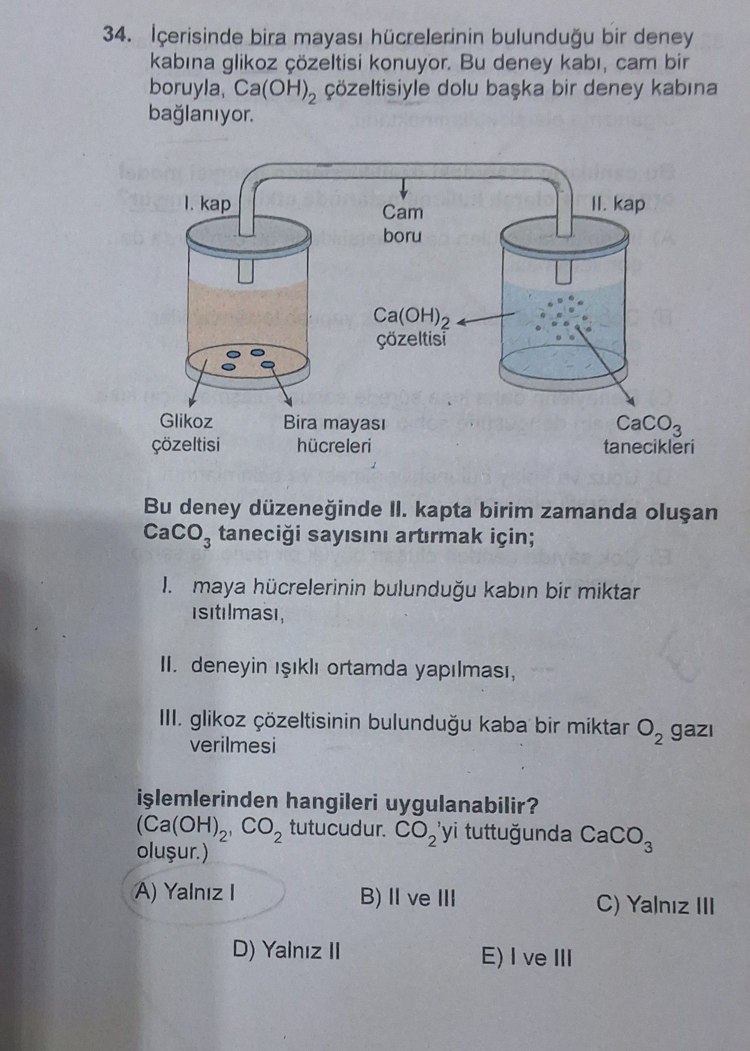 İçerisinde bira mayası hücrelerinin bulunduğu bir deney kabına glikoz çözeltisi konuyor. Bu deney