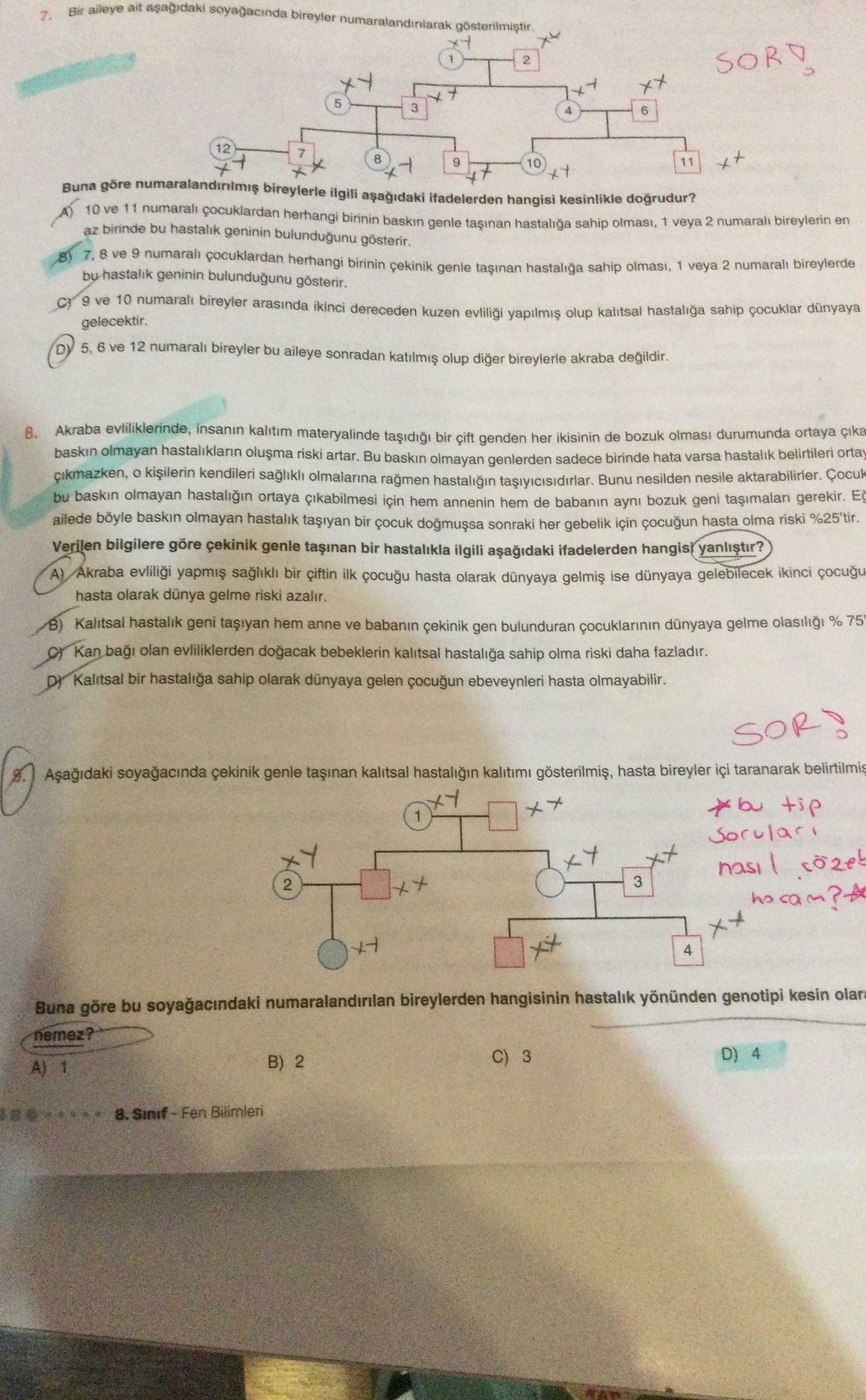 Akraba evliliklerinde, insanın kalıtım materyalinde taşıdığı bir çift genden her ikisinin de bozuk