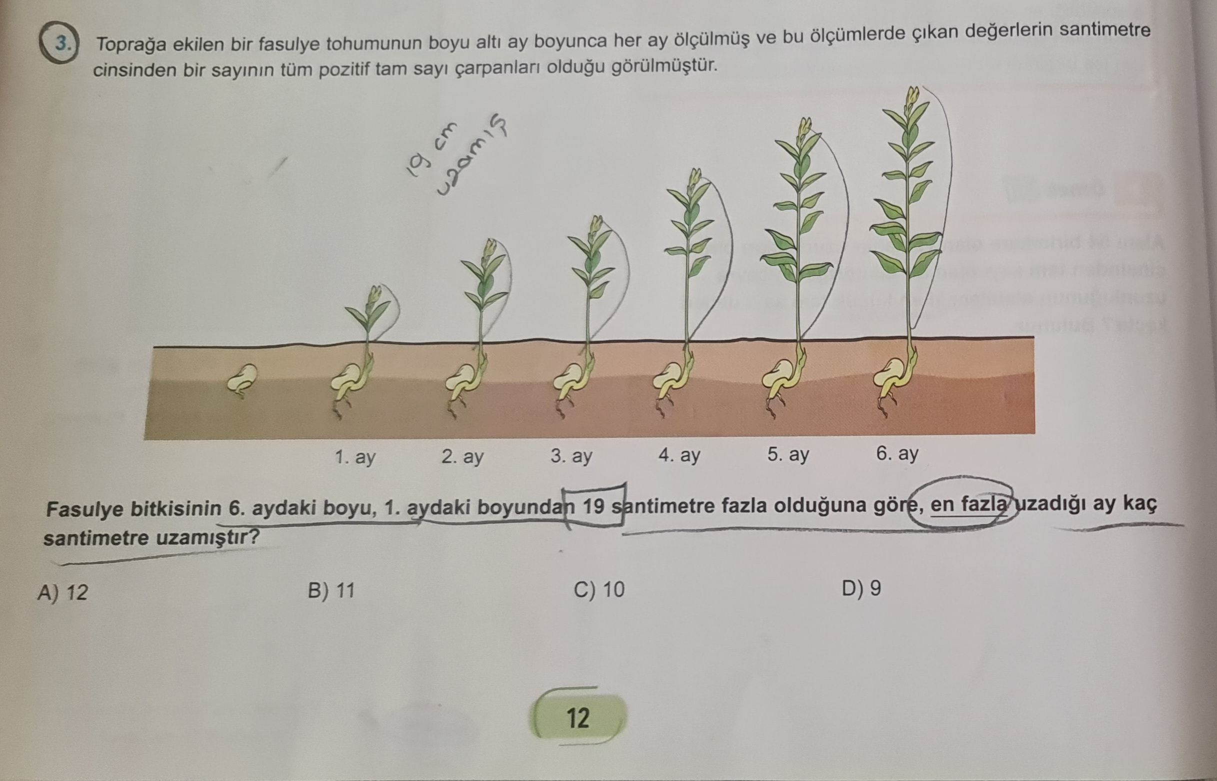 3. ekilen bir fasulye tohumunun boyu alti ay boyunca her ay ve bu ölçümlerde degerlerin santimetre cinsinden bir sayinin tüm pozitif tam sayi oldugu 19 cm 4. ay 6. ay 5. ay 2. ay 3. ay 1. ay Fasulye bitkisinin 6. aydaki boyu, 1. aydaki boyundan 19 santimetre fazla olduguna göre, en ay kaç santimetre D) 9 C) 10 B) 11 A) 12 3. aydaki boyundan 19 santimetre fazla olduguna göre, en ay kaç santimetre D) 9 C) 10 B) 11 A) 12. ?? Model.Question.title