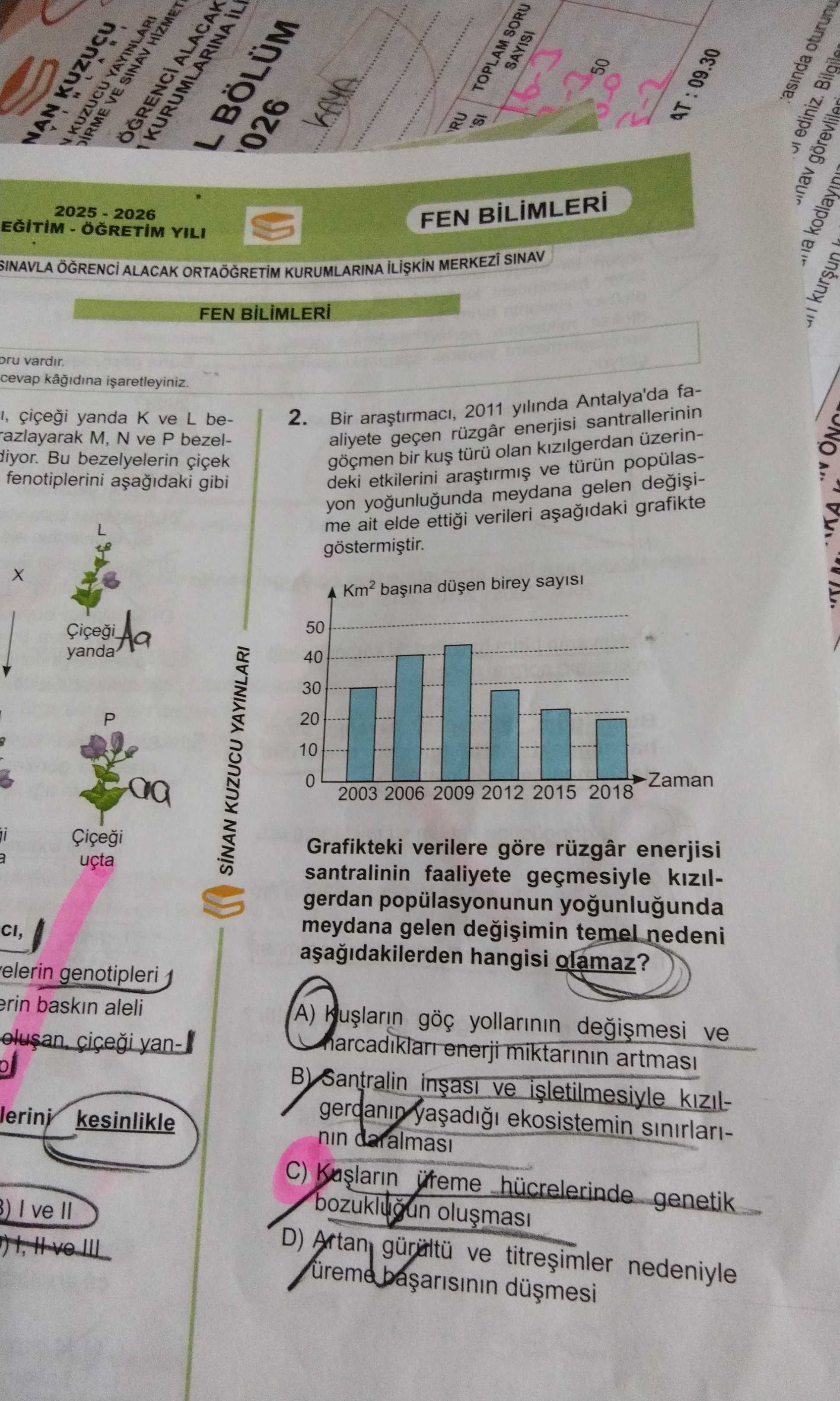 Bir araştırmacı, 2011 yılında Antalya'da faaliyete geçen rüzgâr enerjisi santrallerinin göçmen bir