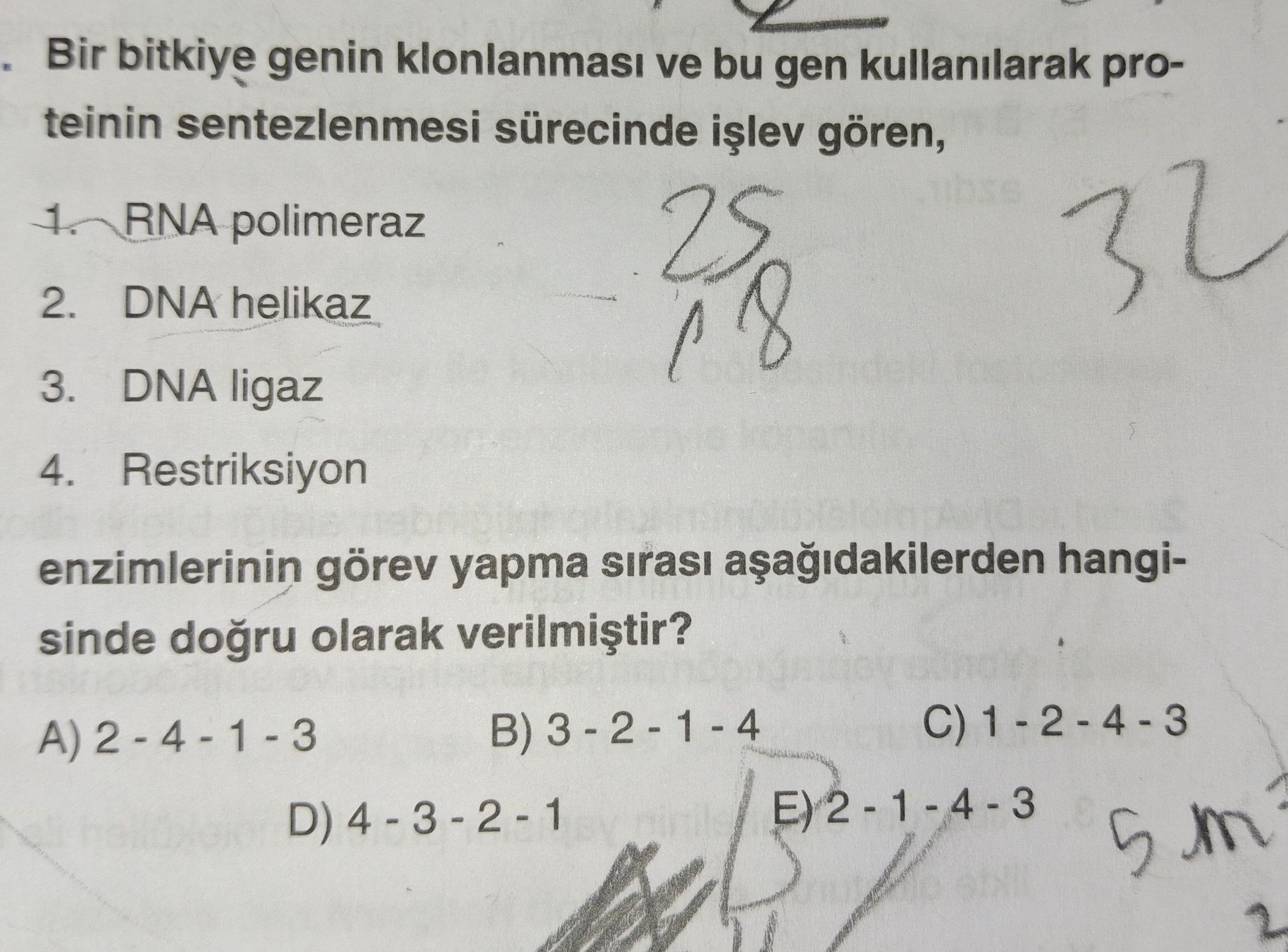 Bir bitkiye genin klonlanması ve bu gen kullanılarak proteinin sentezlenmesi sürecinde işlev gören