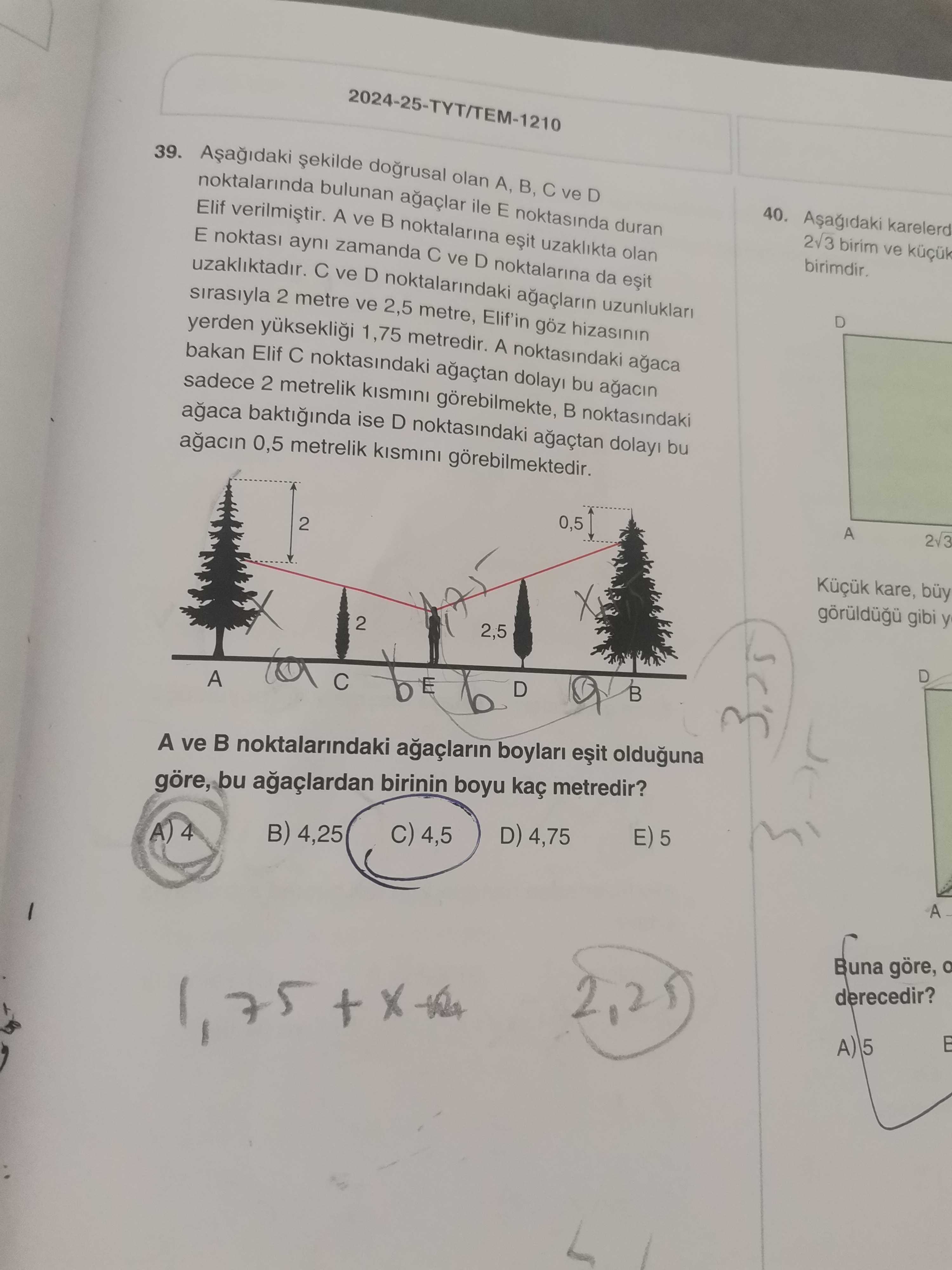 Aşağıdaki şekilde doğrusal olan A, B, C ve D noktalarında bulunan ağaçlar ile E noktasında duran