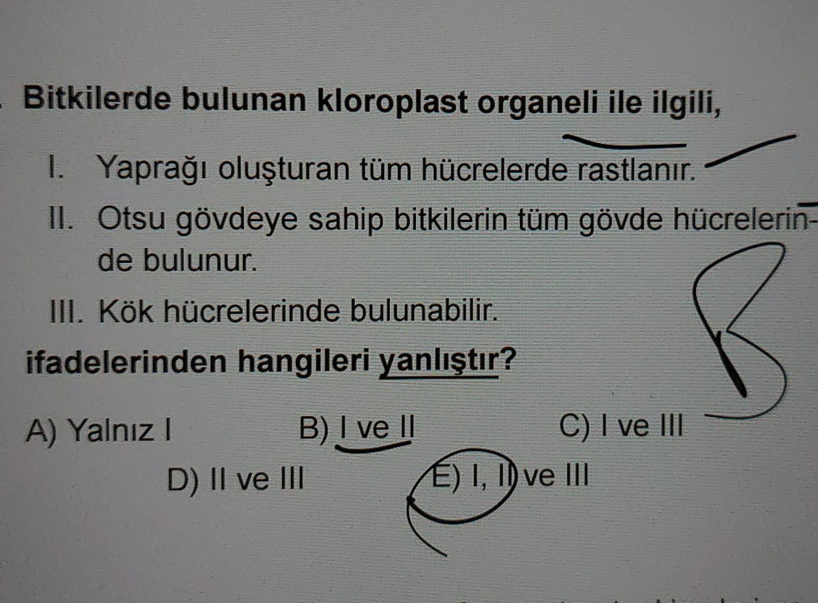Bitkilerde bulunan kloroplast organeli ile ilgili; I. Yaprağı oluşturan tüm hücrelerde rastlanır