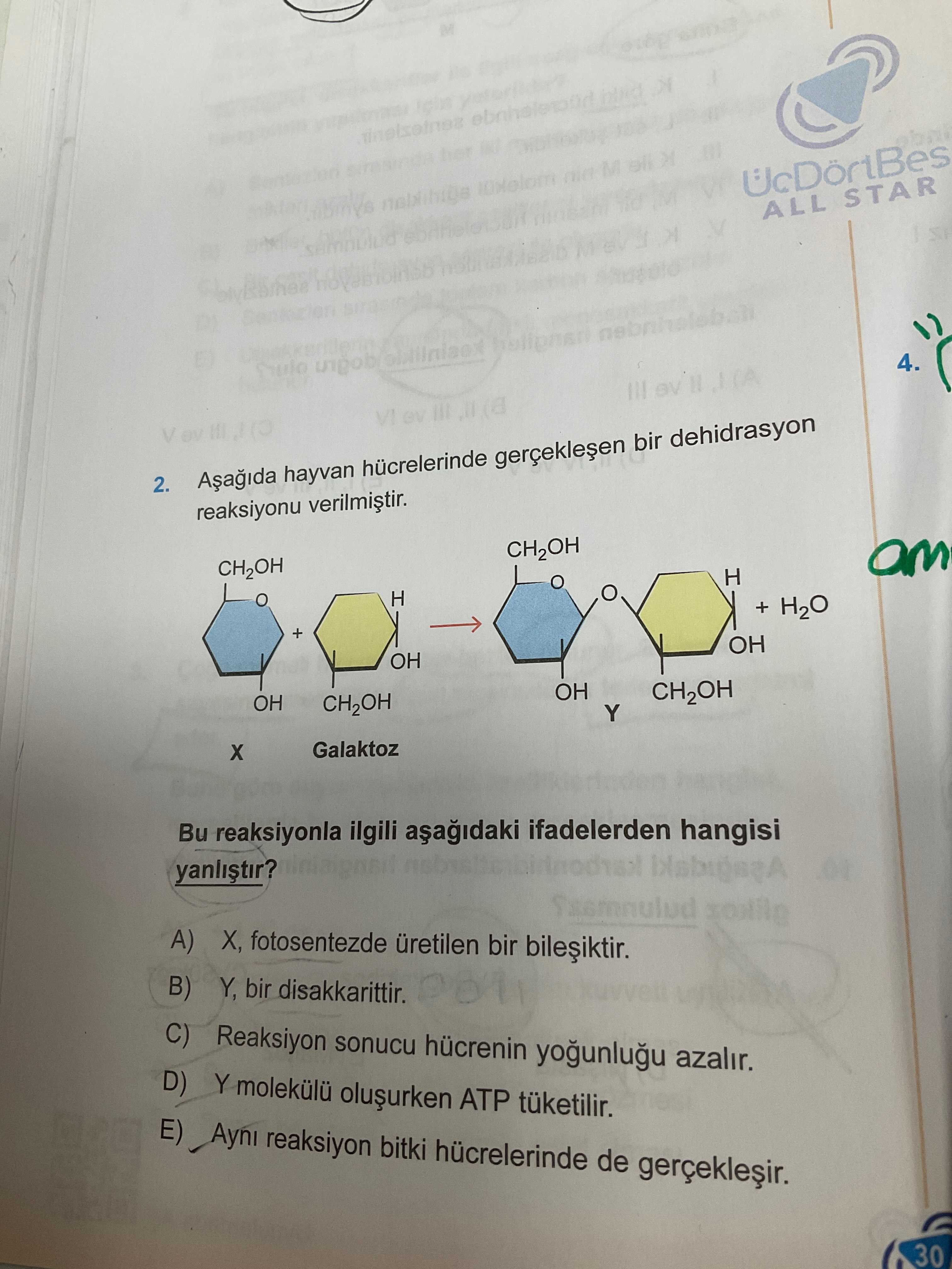 Aşağıda hayvan hücrelerinde gerçekleşen bir dehidrasyon reaksiyonu verilmiştir. Bu reaksiyonla