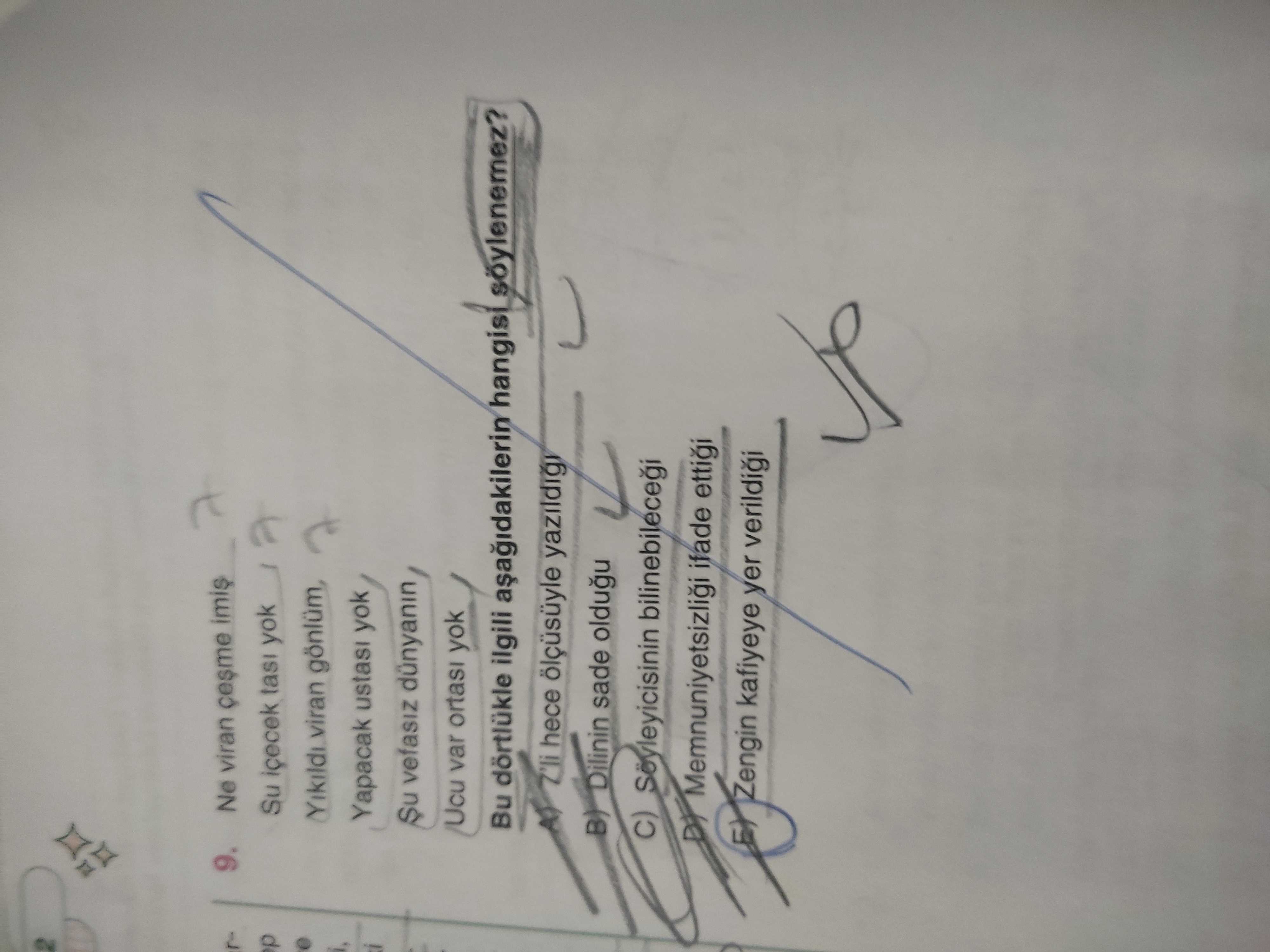 Türk Dili ve Edebiyatı  (11. Sınıf)