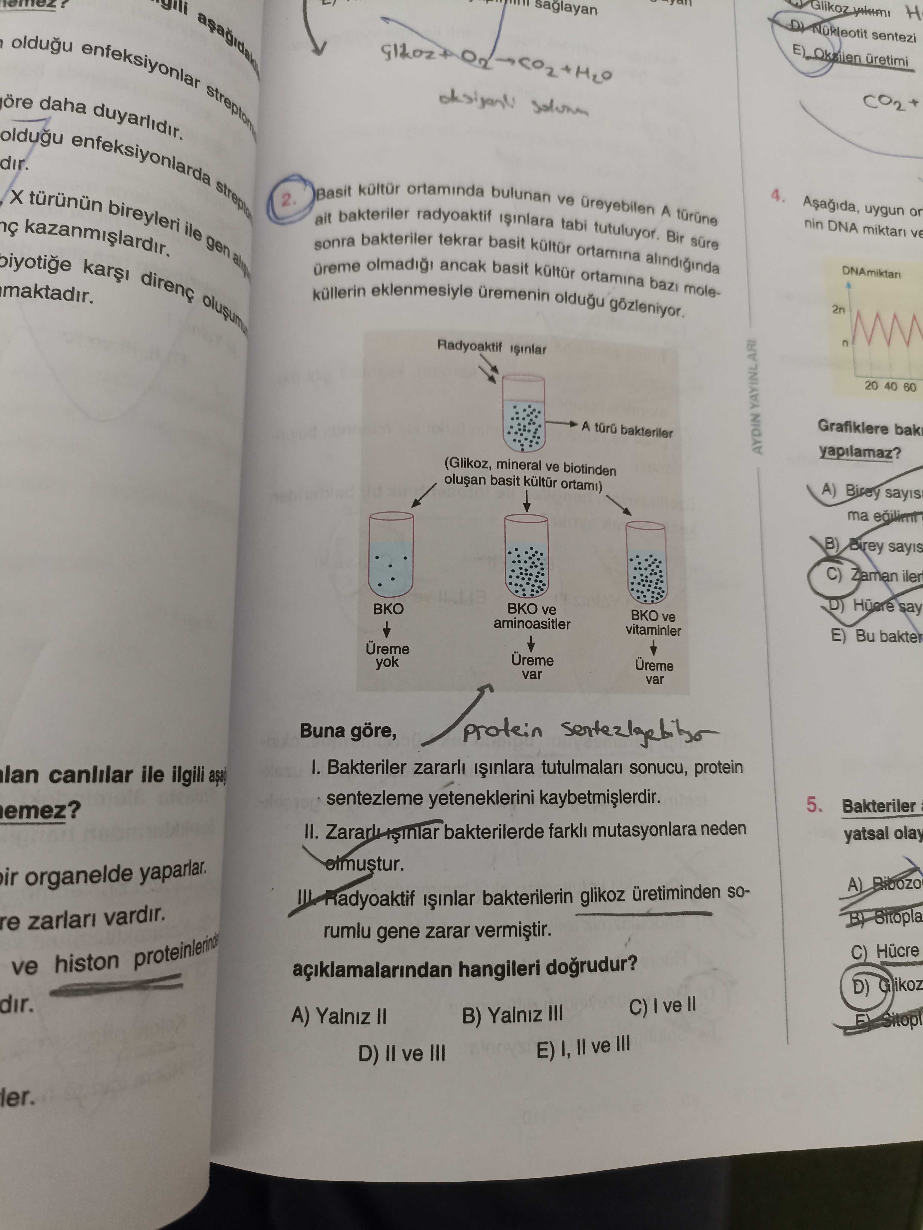 Biyoloji (12. Sınıf)