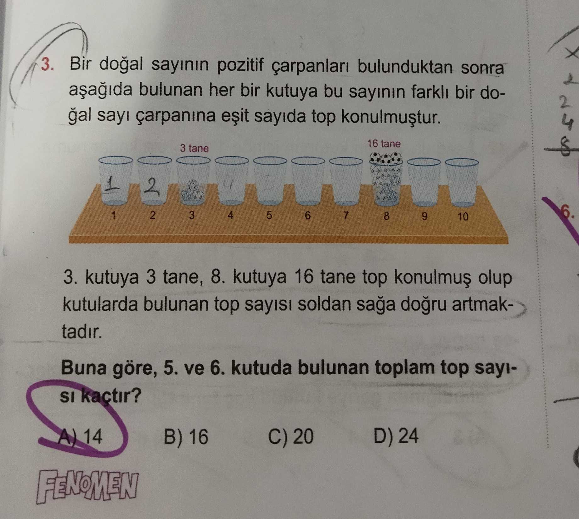 Matematik (8. Sınıf)